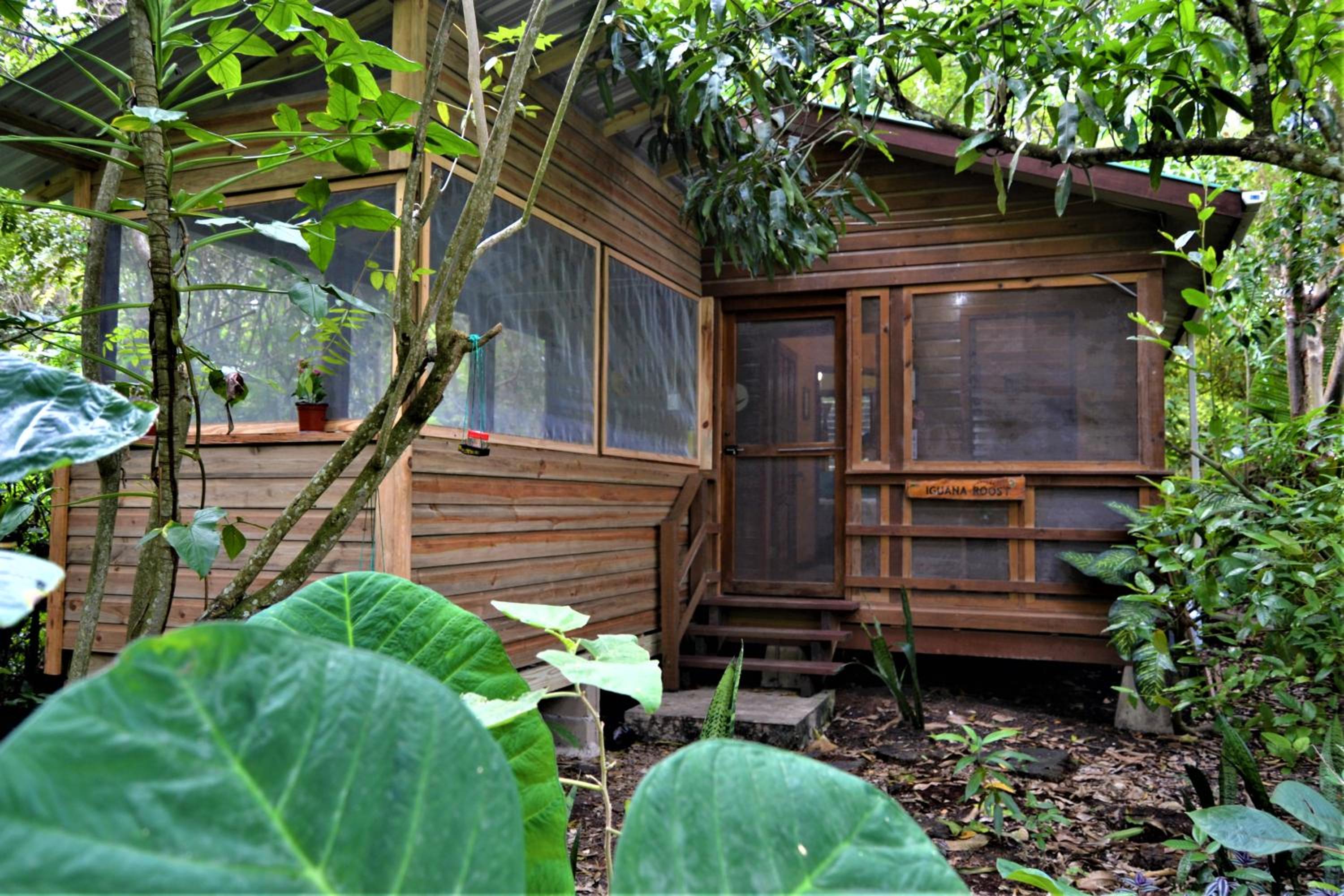 Licensed 2 bedroom cabin Close to San Ignacio, local dining, and adventure tours