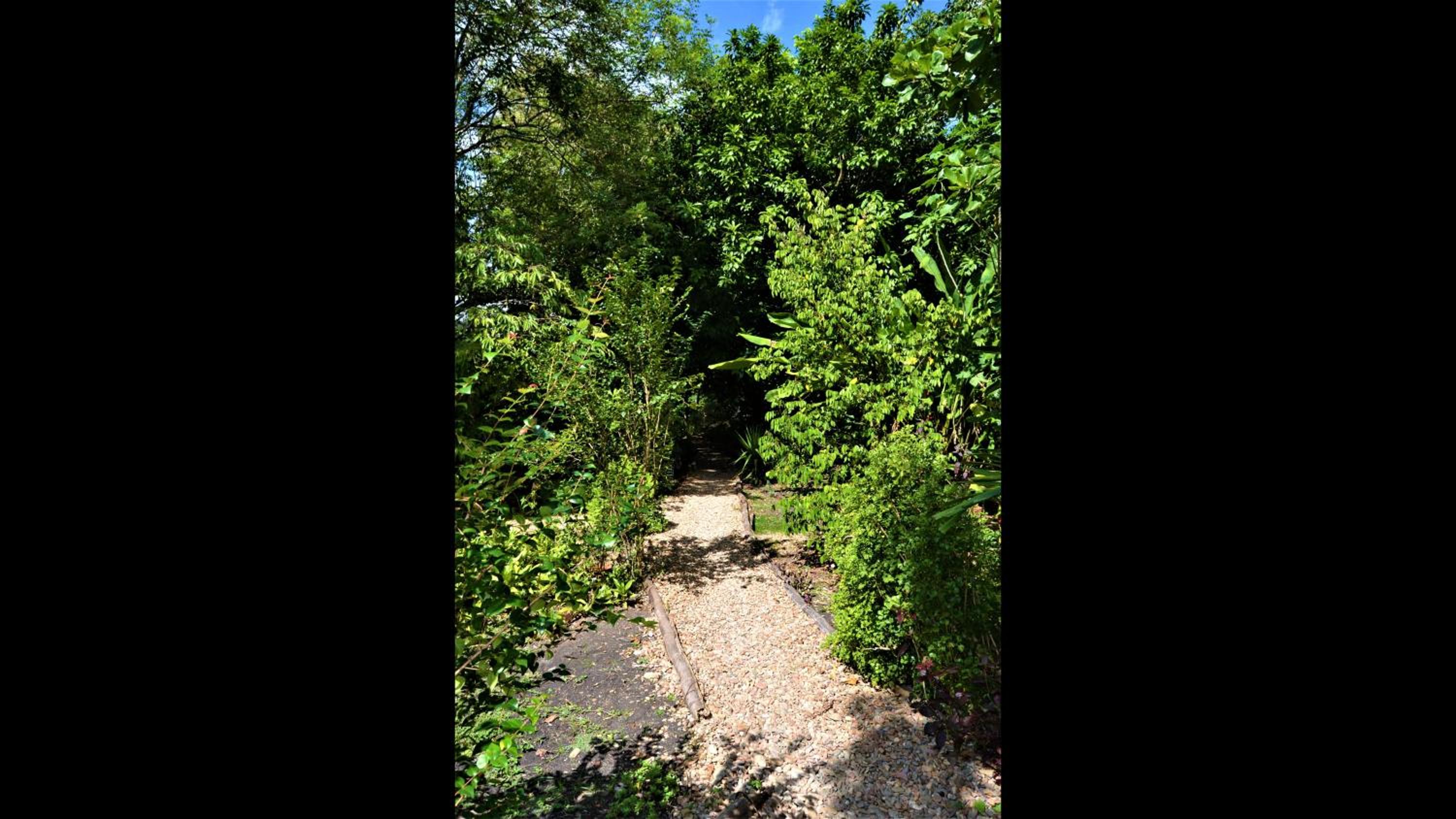 Licensed 2 bedroom cabin Close to San Ignacio, local dining, and adventure tours