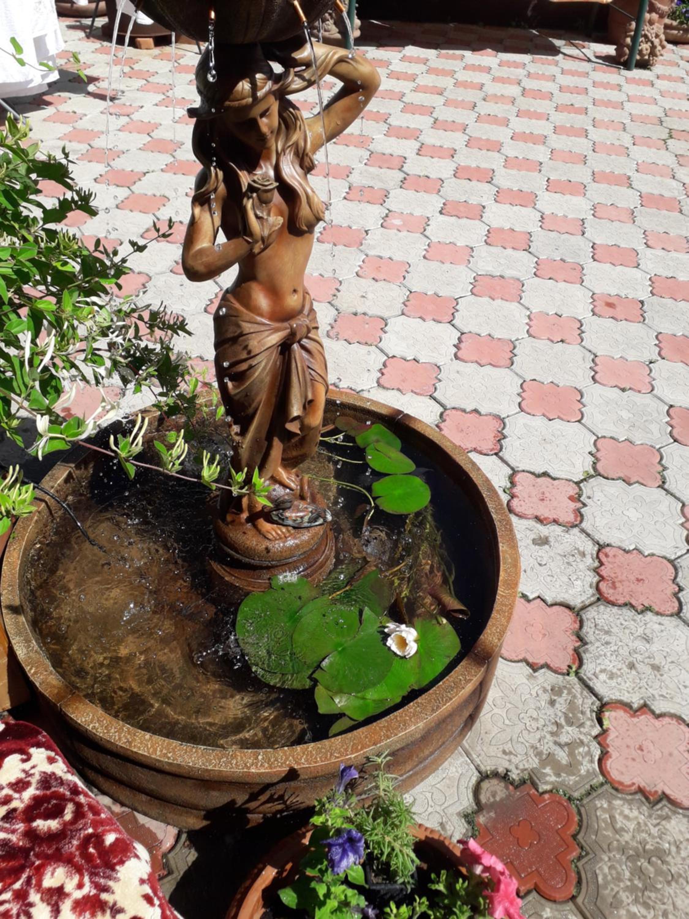 Photo 31