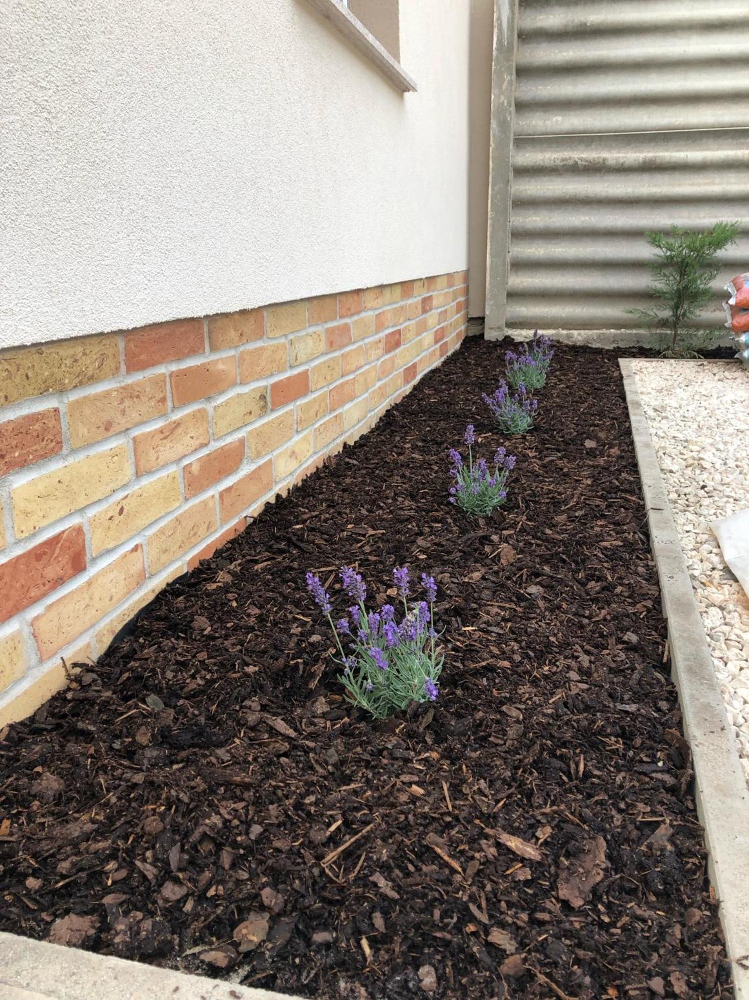 Photo 62