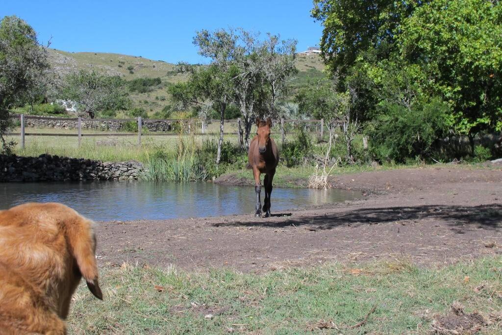Casa de campo - retiro con encanto en las sierras