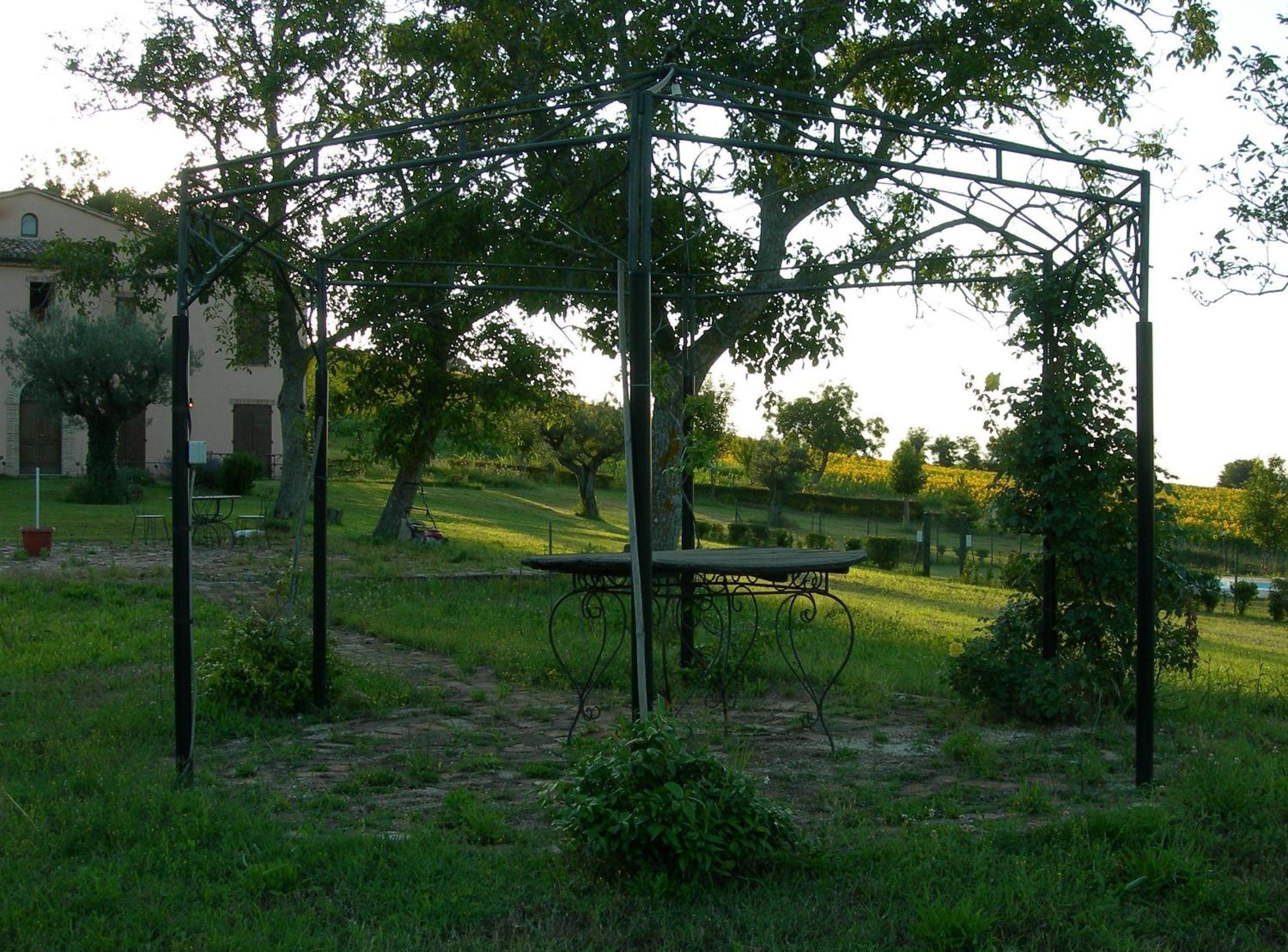 Photo 11