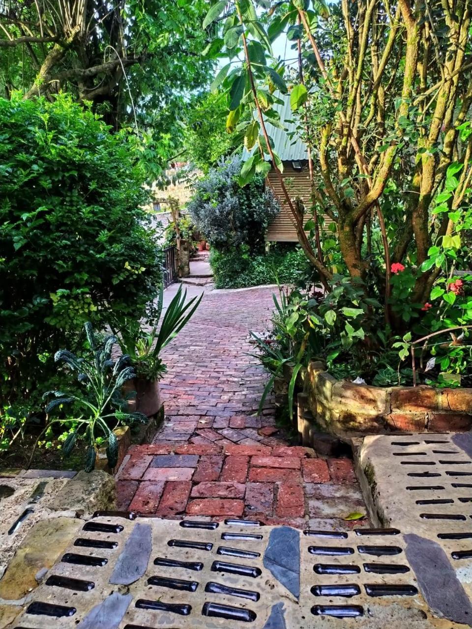 Cabañas Sinduly Bed & Breakfast