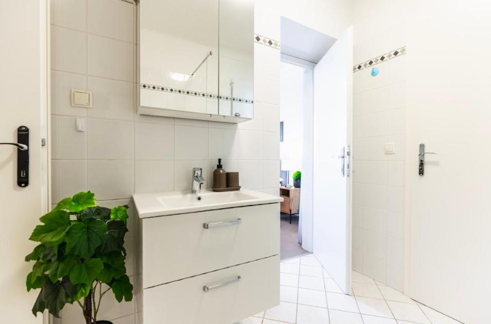 Experience Central Vienna from a Stylish and Modern Apartment