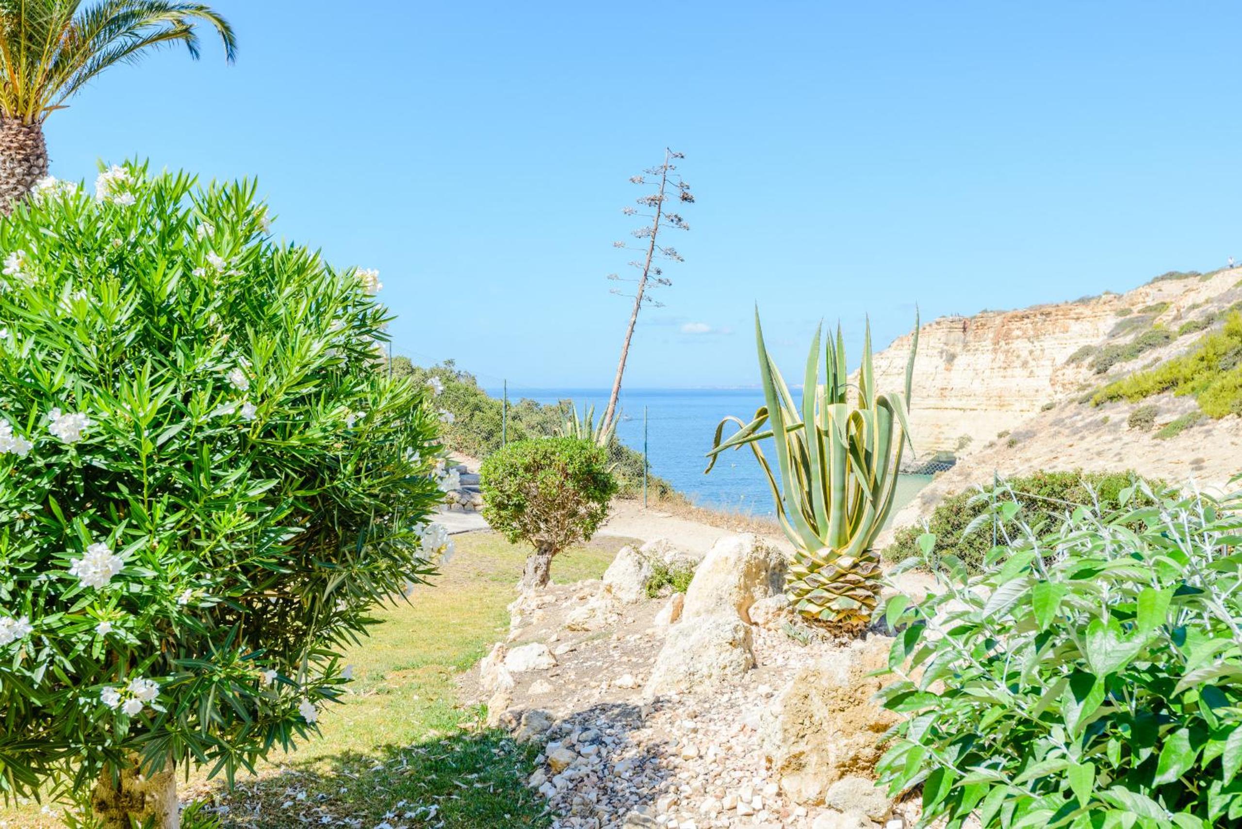 Carvoeiro Vacations - The Little Paradise with Sea Views - Property Image 11