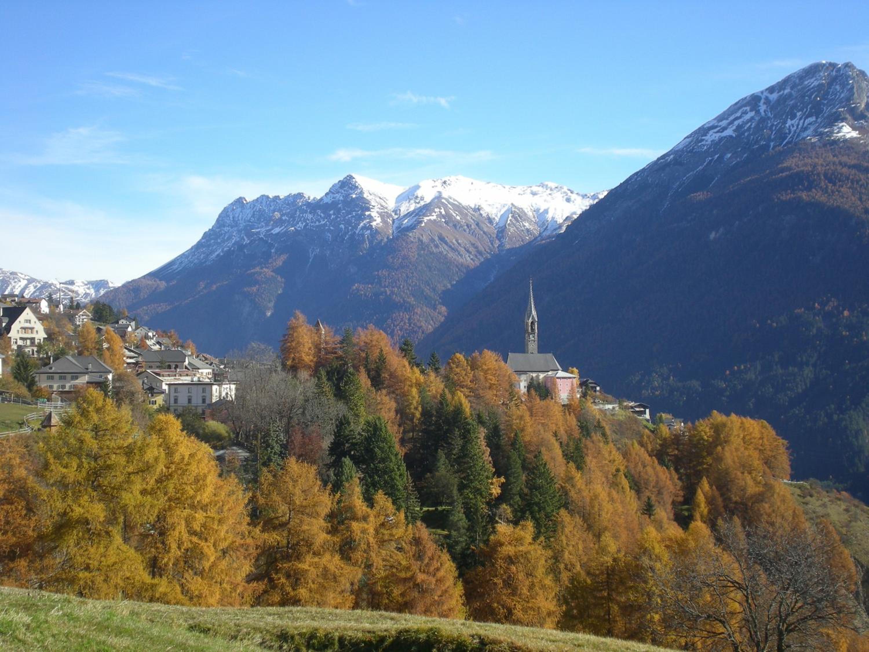 Photo 43