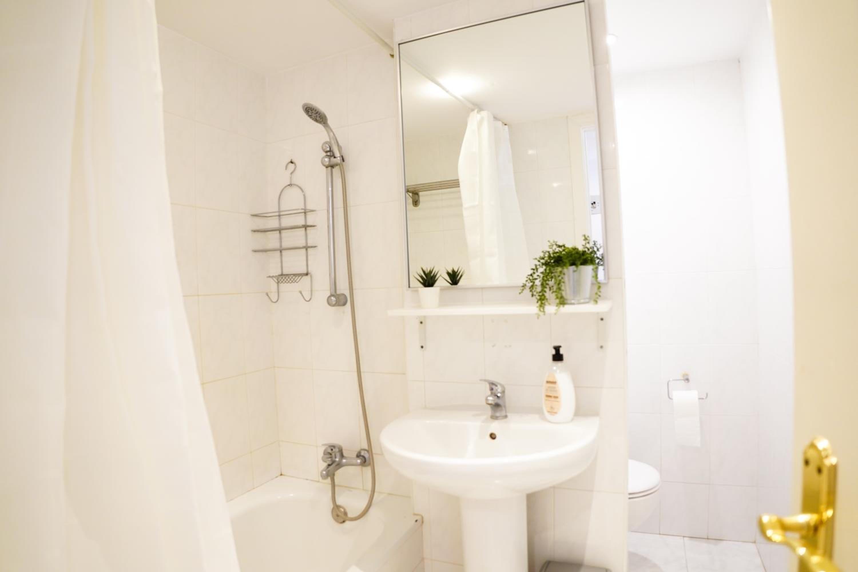 Palmeras Suite Fuengirola