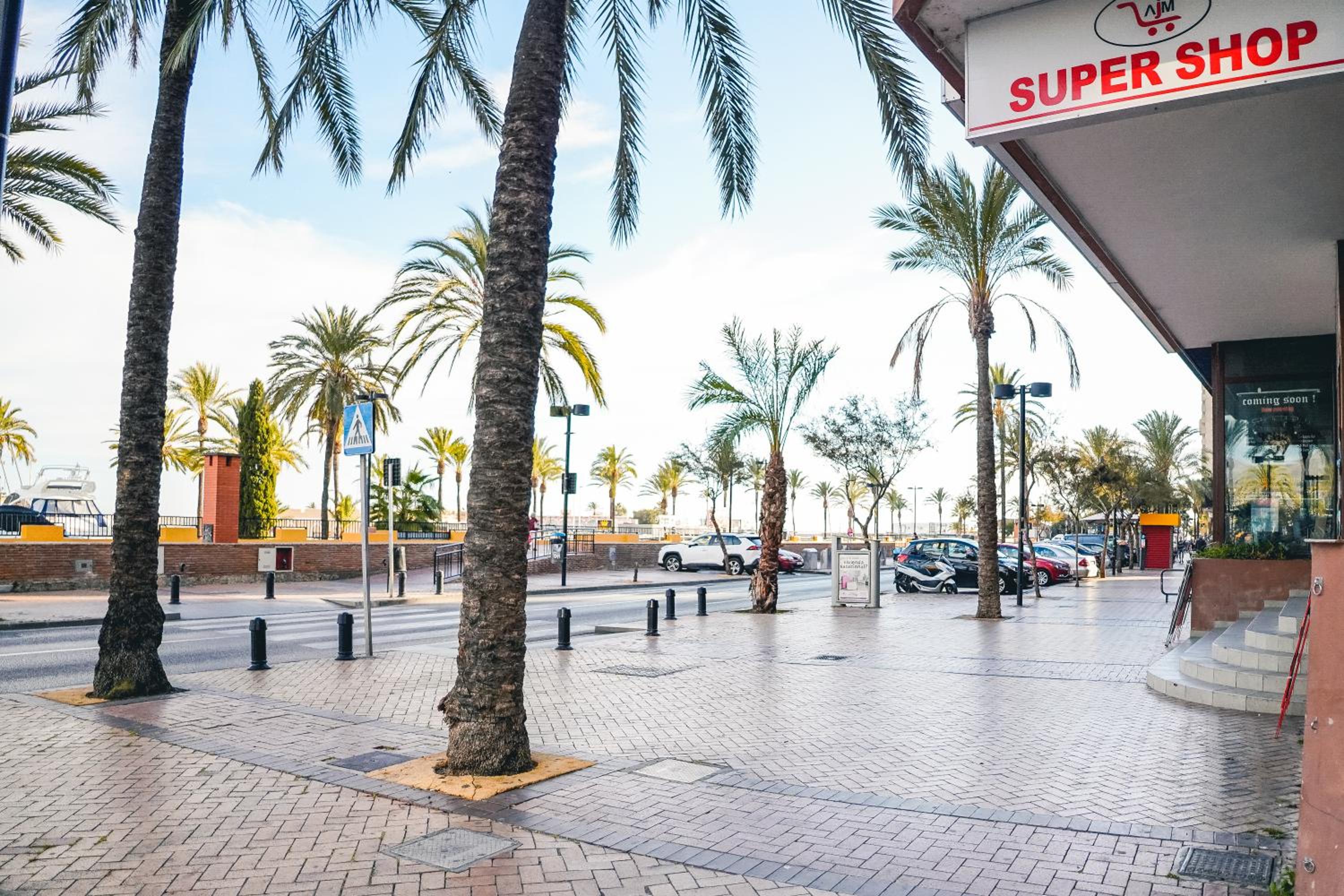Palmeras Suite Fuengirola