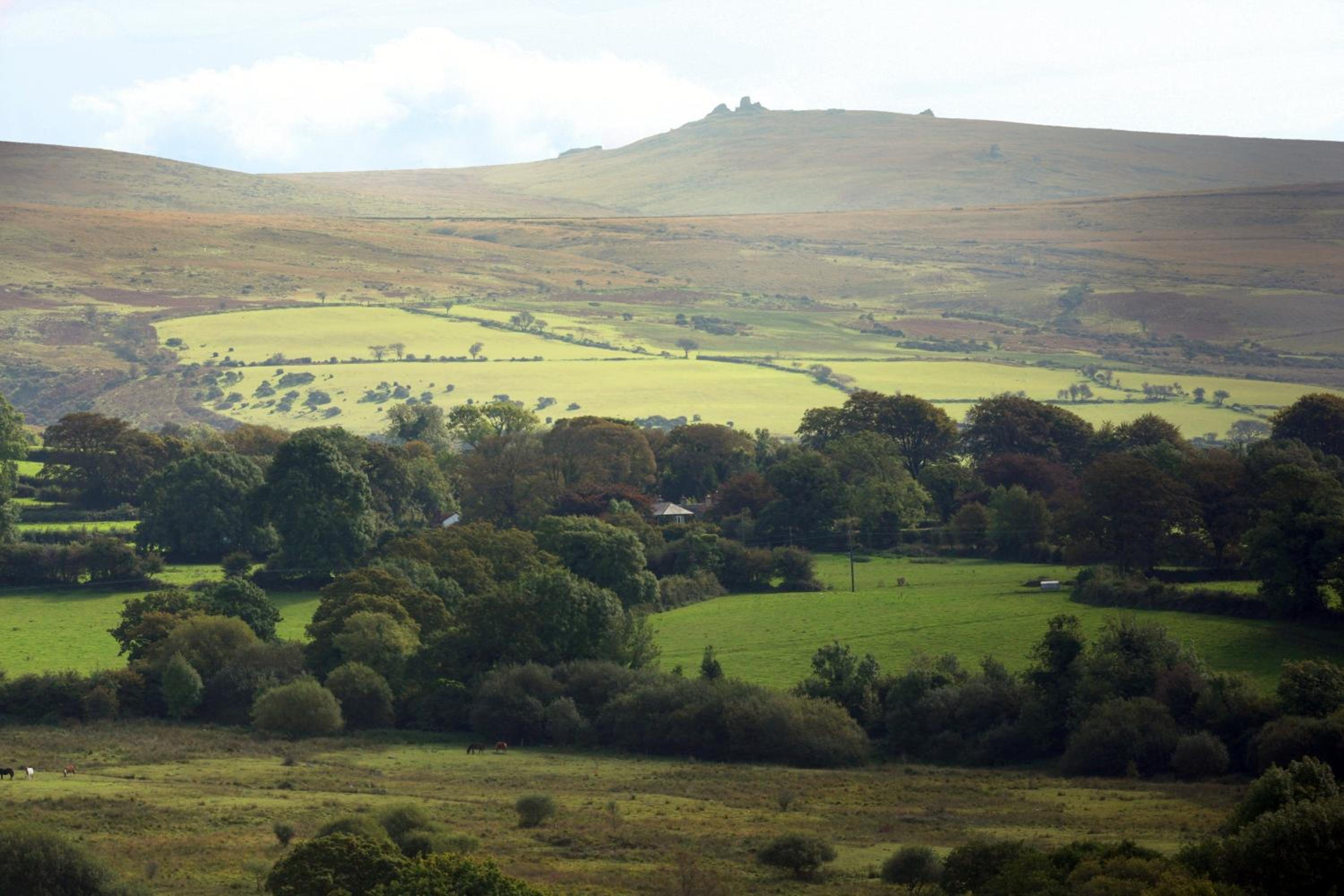 Okehampton Vacations - Collaven Manor - Property Image 12