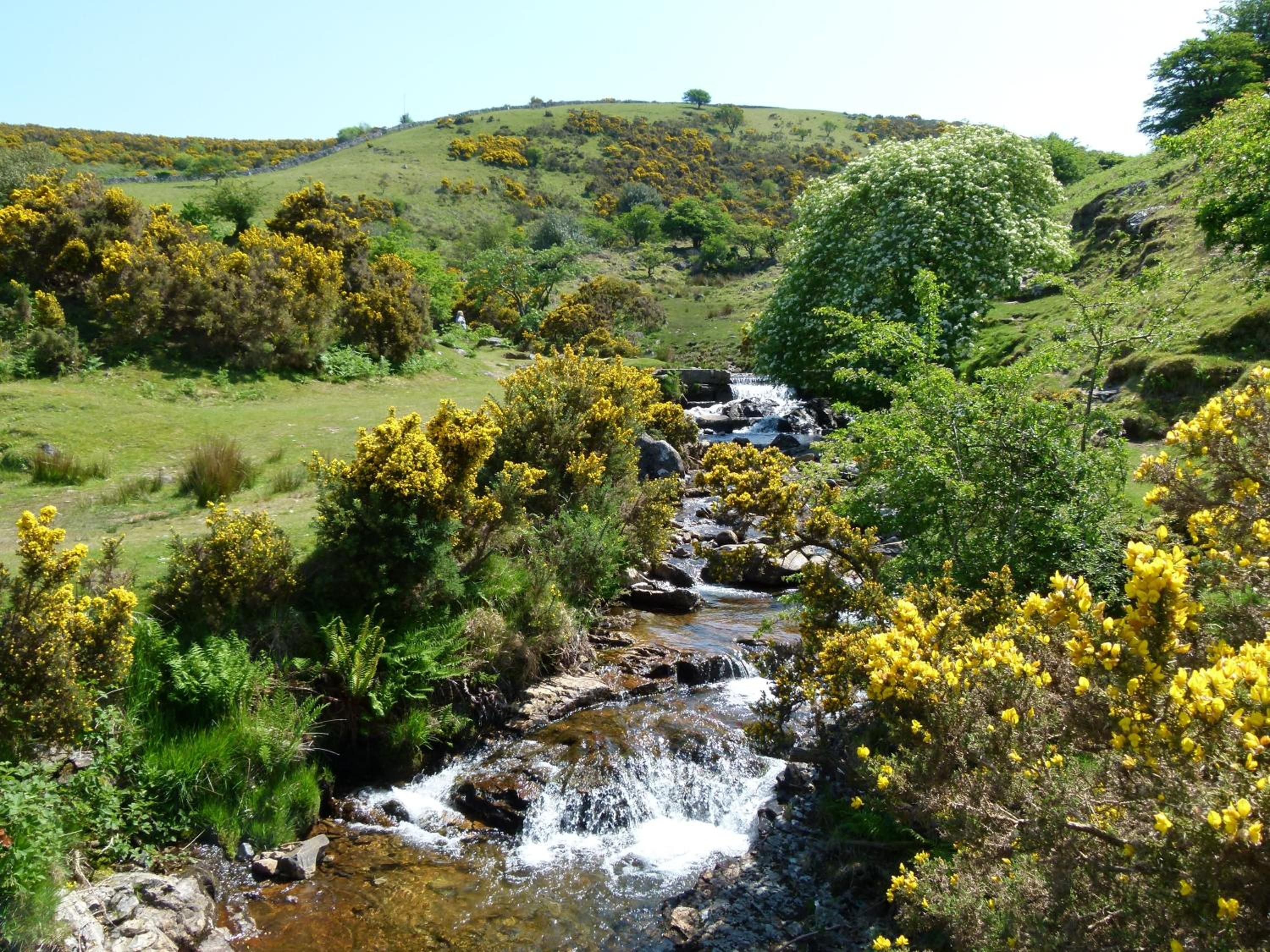 Okehampton Vacations - Collaven Manor - Property Image 8