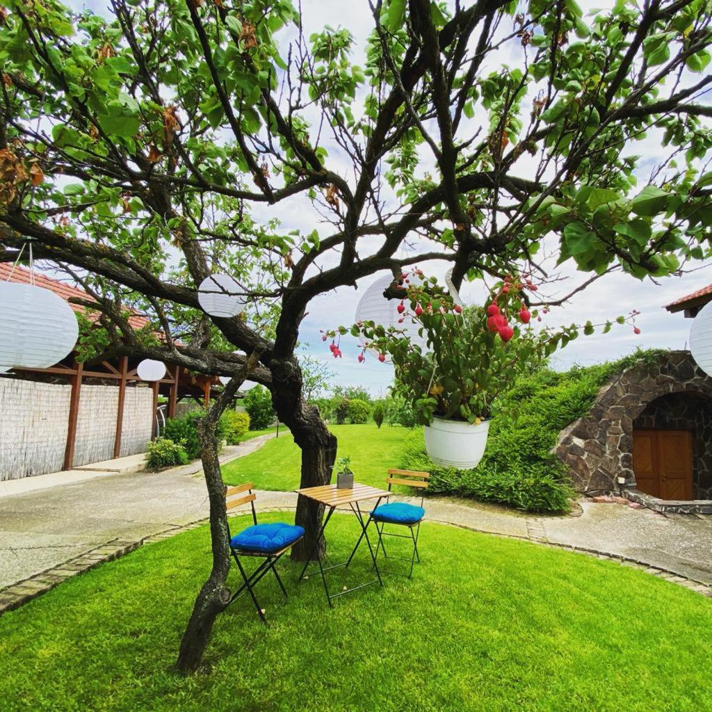 Amazing Cottage Home view 5