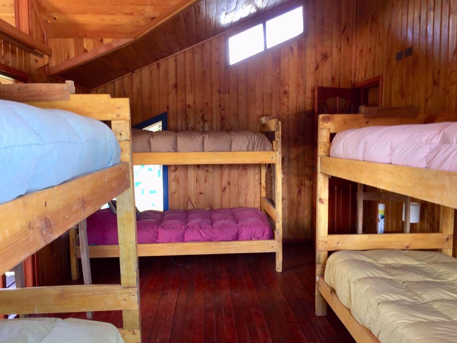 Hostel Raíz