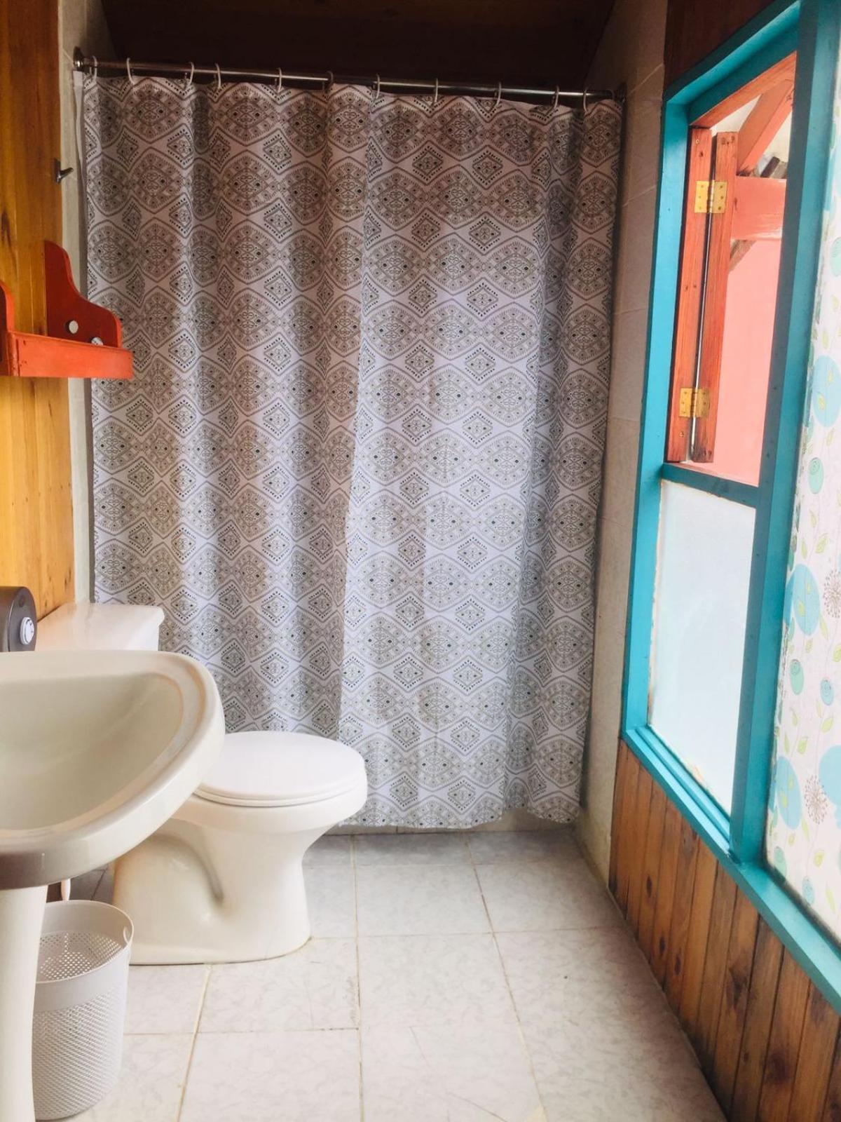 Hostel Raíz