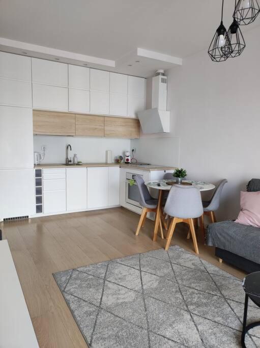 Lovely Apartment vis-a-vis Medicover and Paley Institute, photo 9