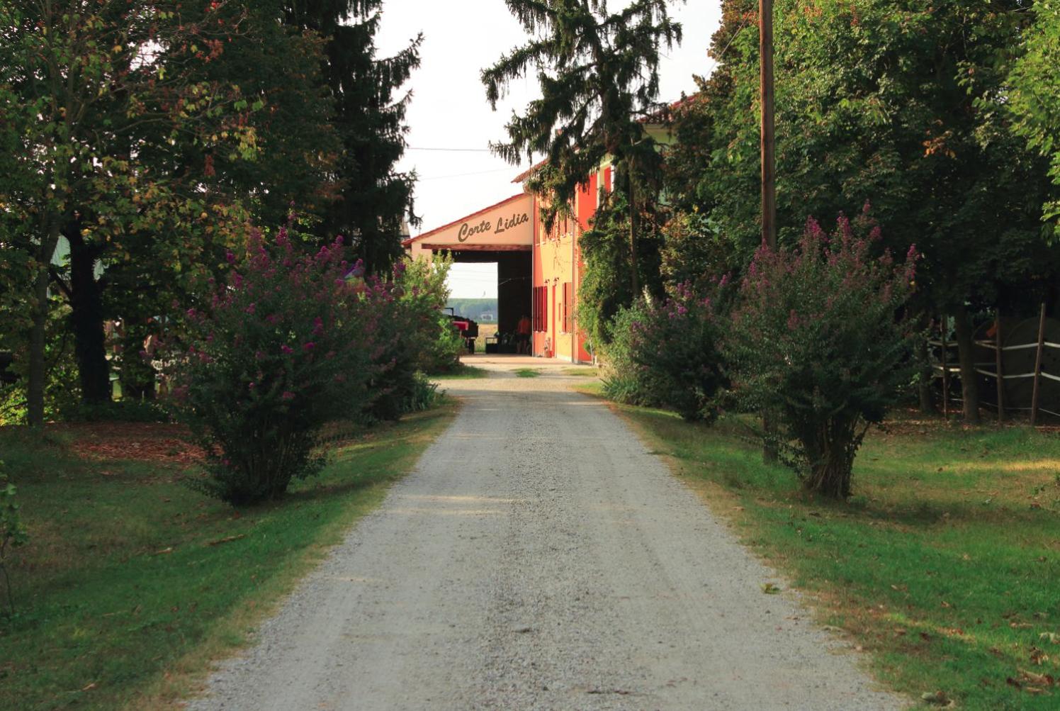 Agriturismo Corte Lidia view 2