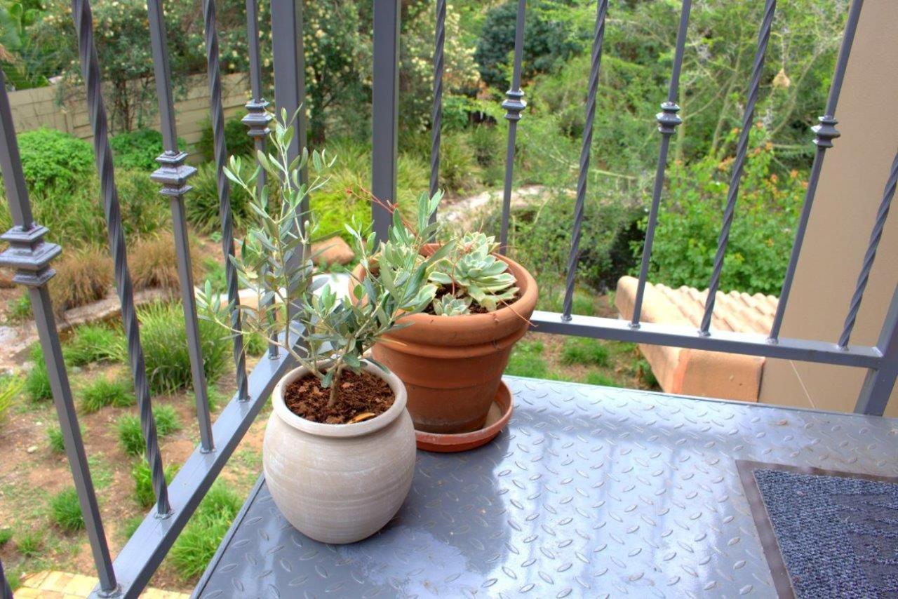 Wild Olive Executive Suite