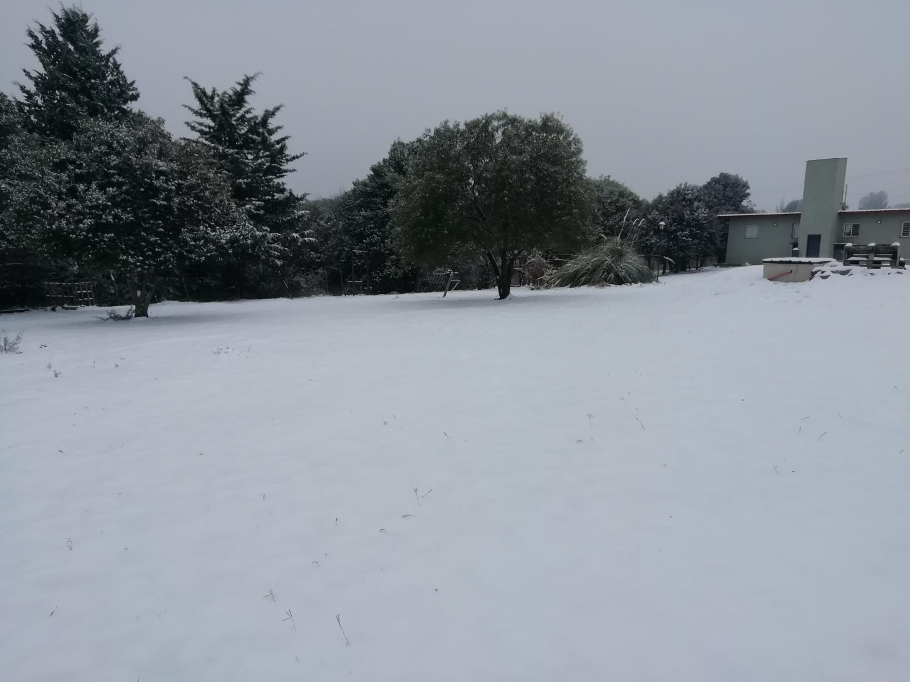 El Algarrobo Escondido Canchas de Pádel y Bosque Serrano
