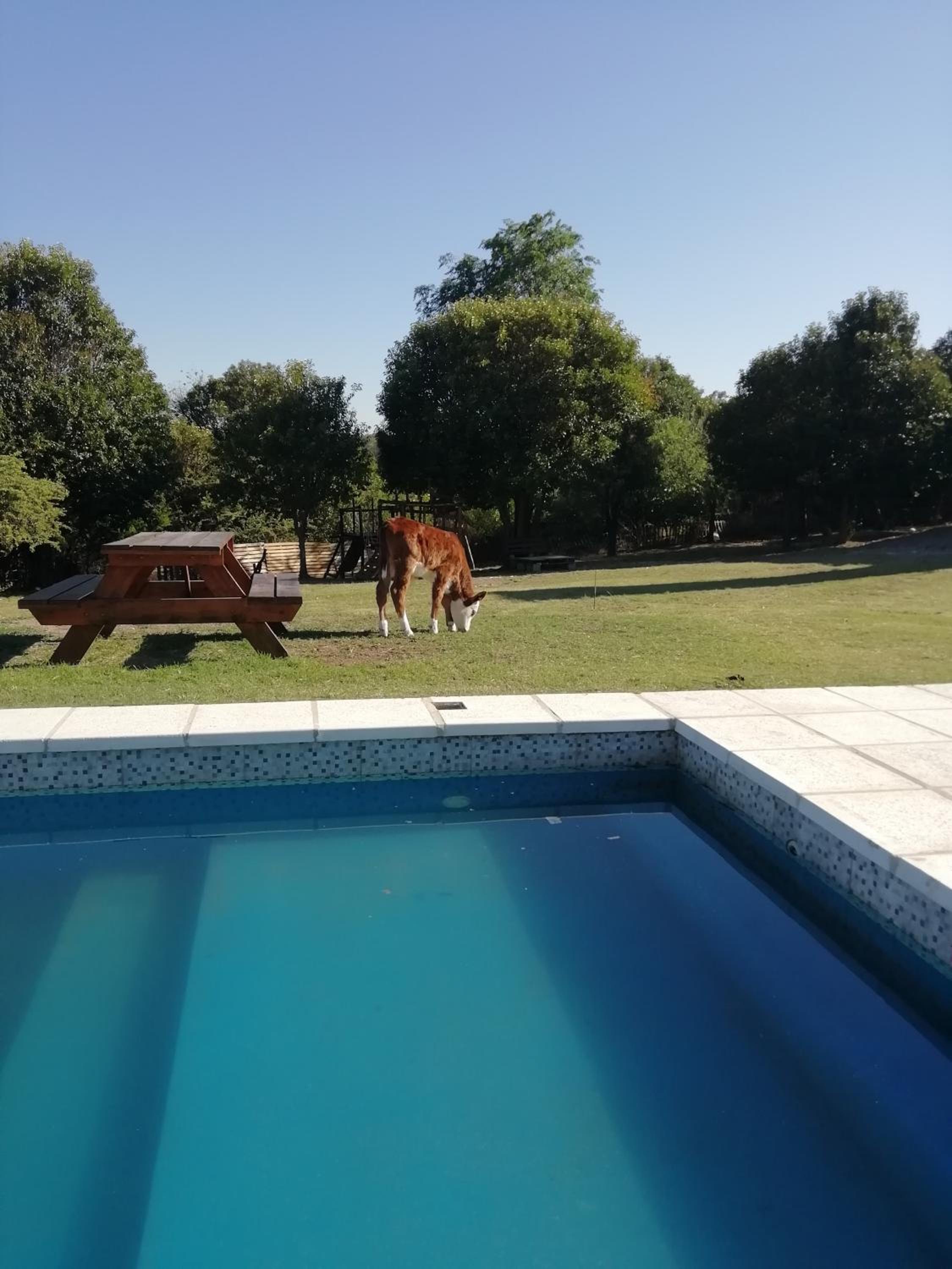 El Algarrobo Escondido Canchas de Pádel y Bosque Serrano