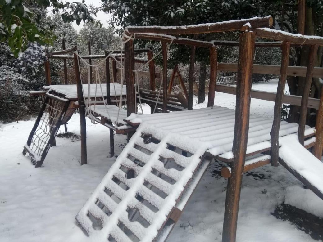 El Algarrobo Escondido Canchas de Pádel y Bosque Serrano