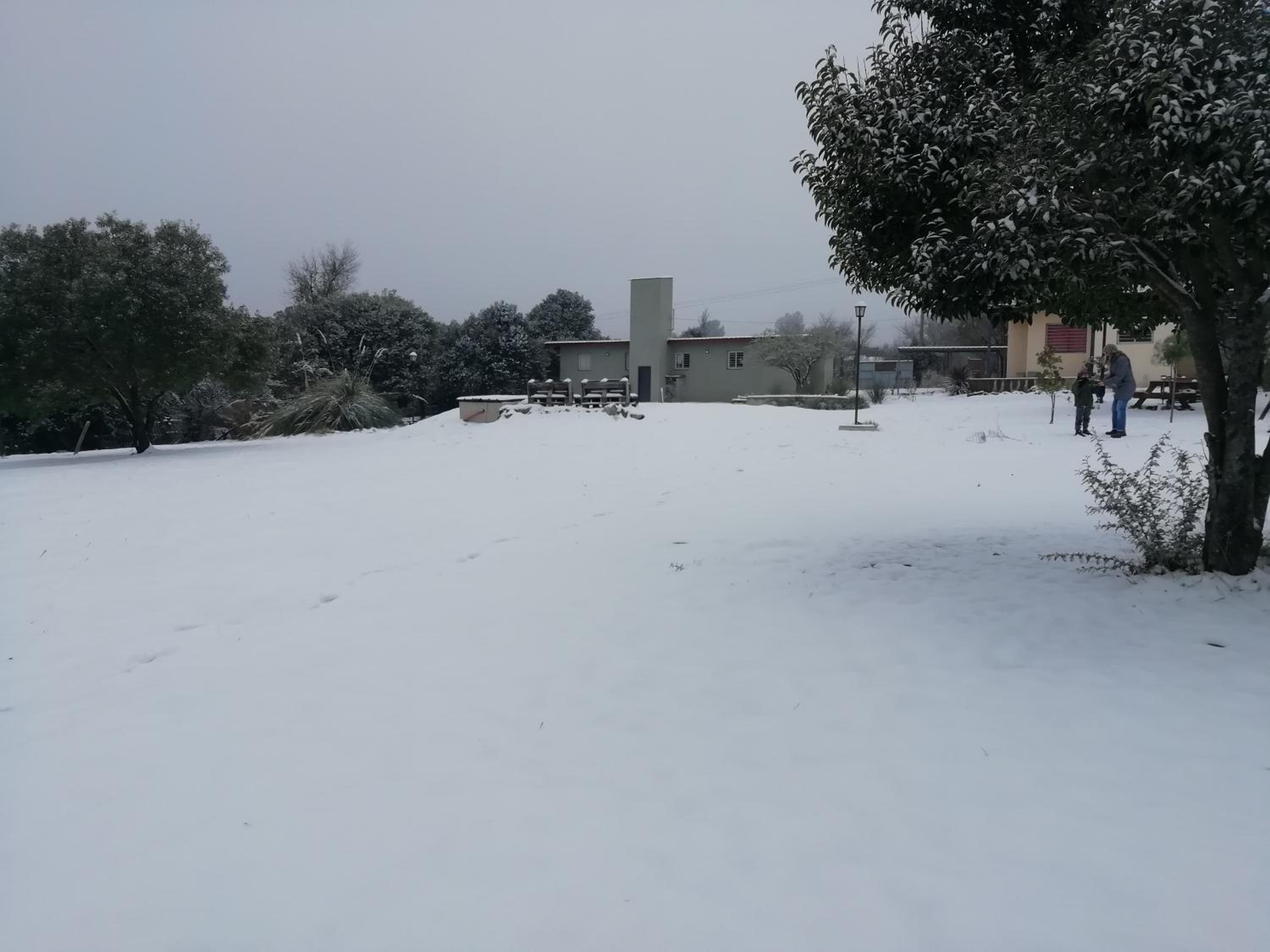 El Algarrobo Escondido Canchas de Pádel y Bosque Serrano