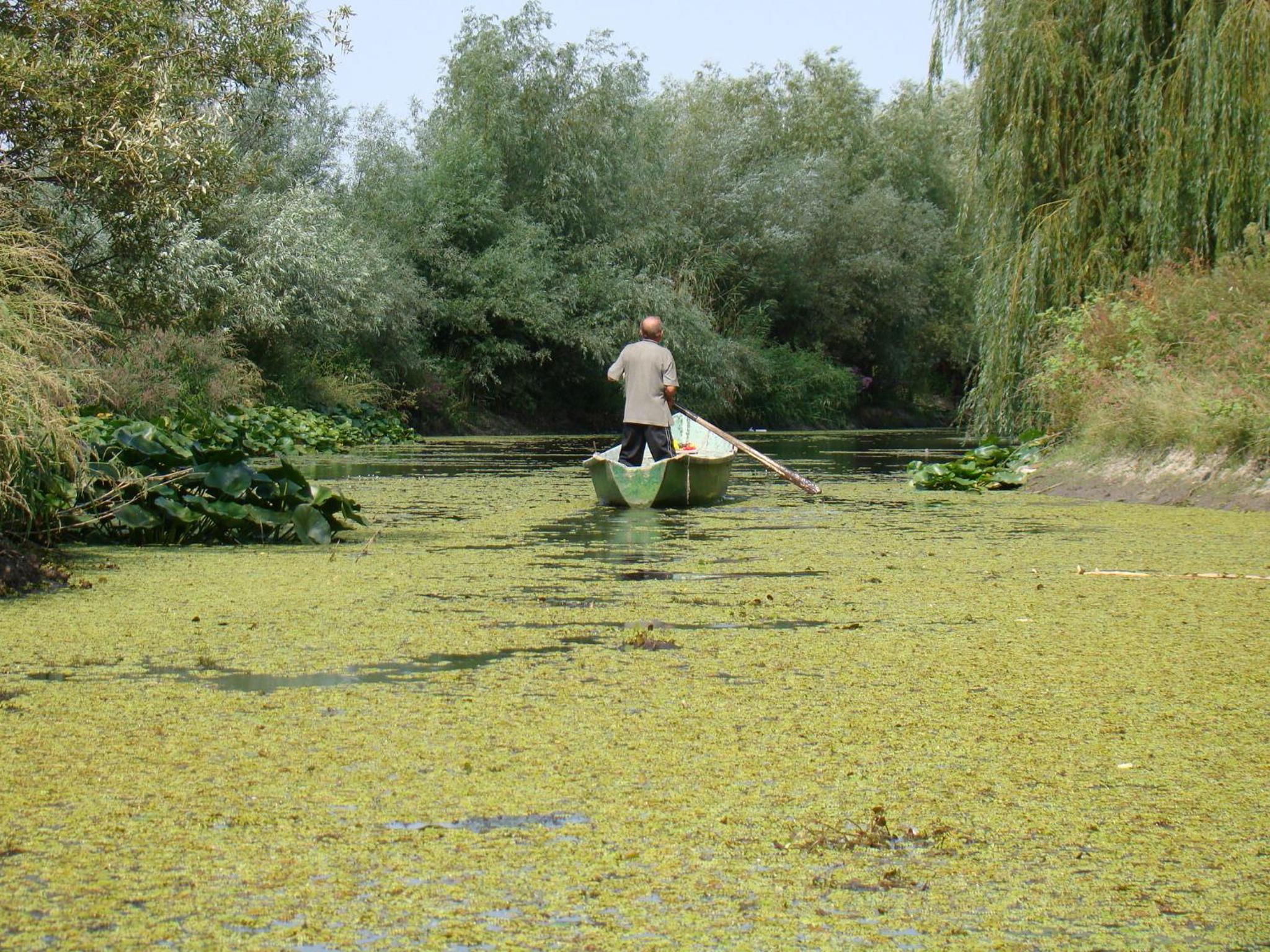 Photo 58
