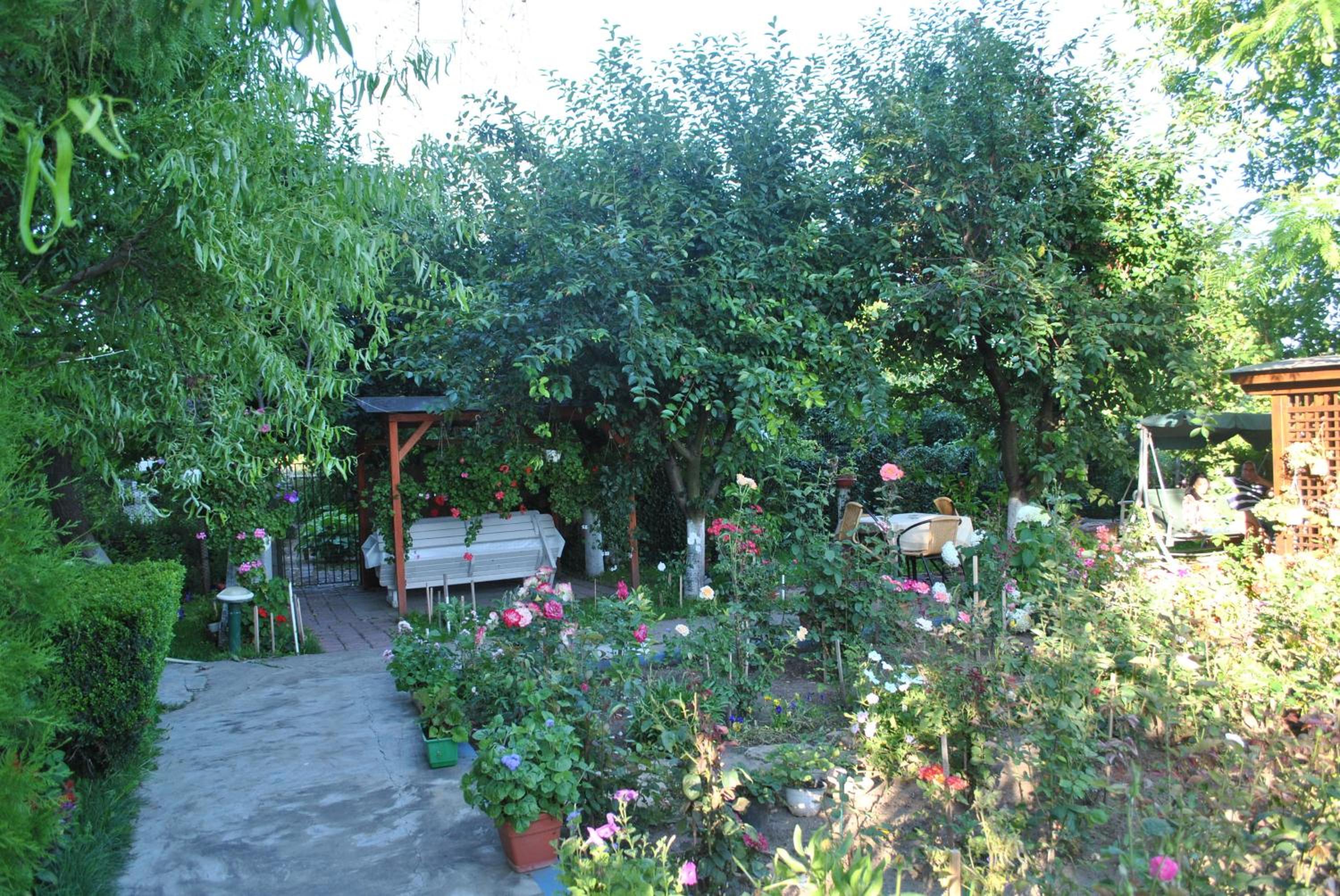 Photo 45