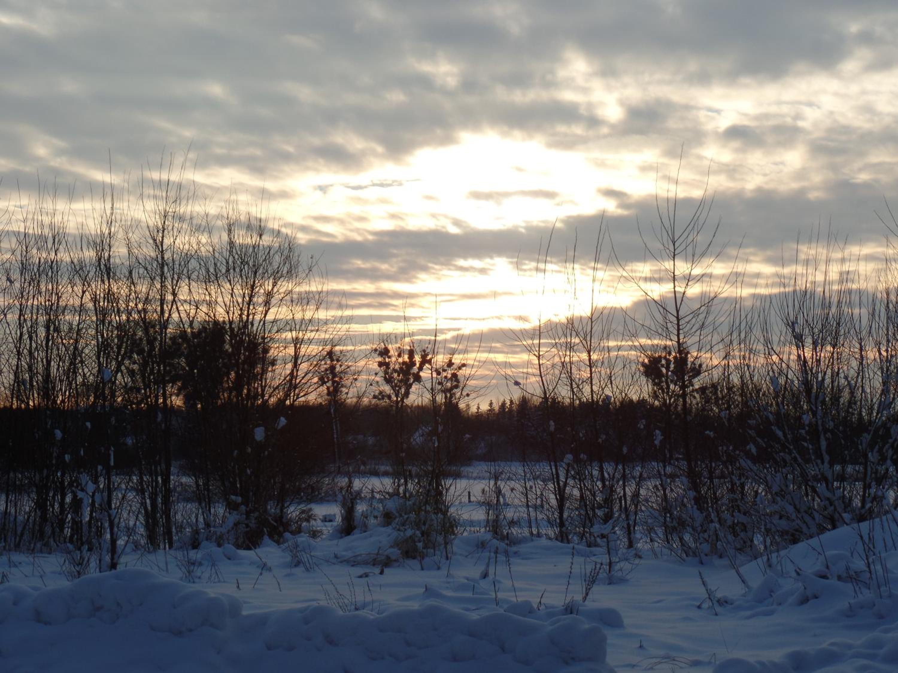 Photo 39