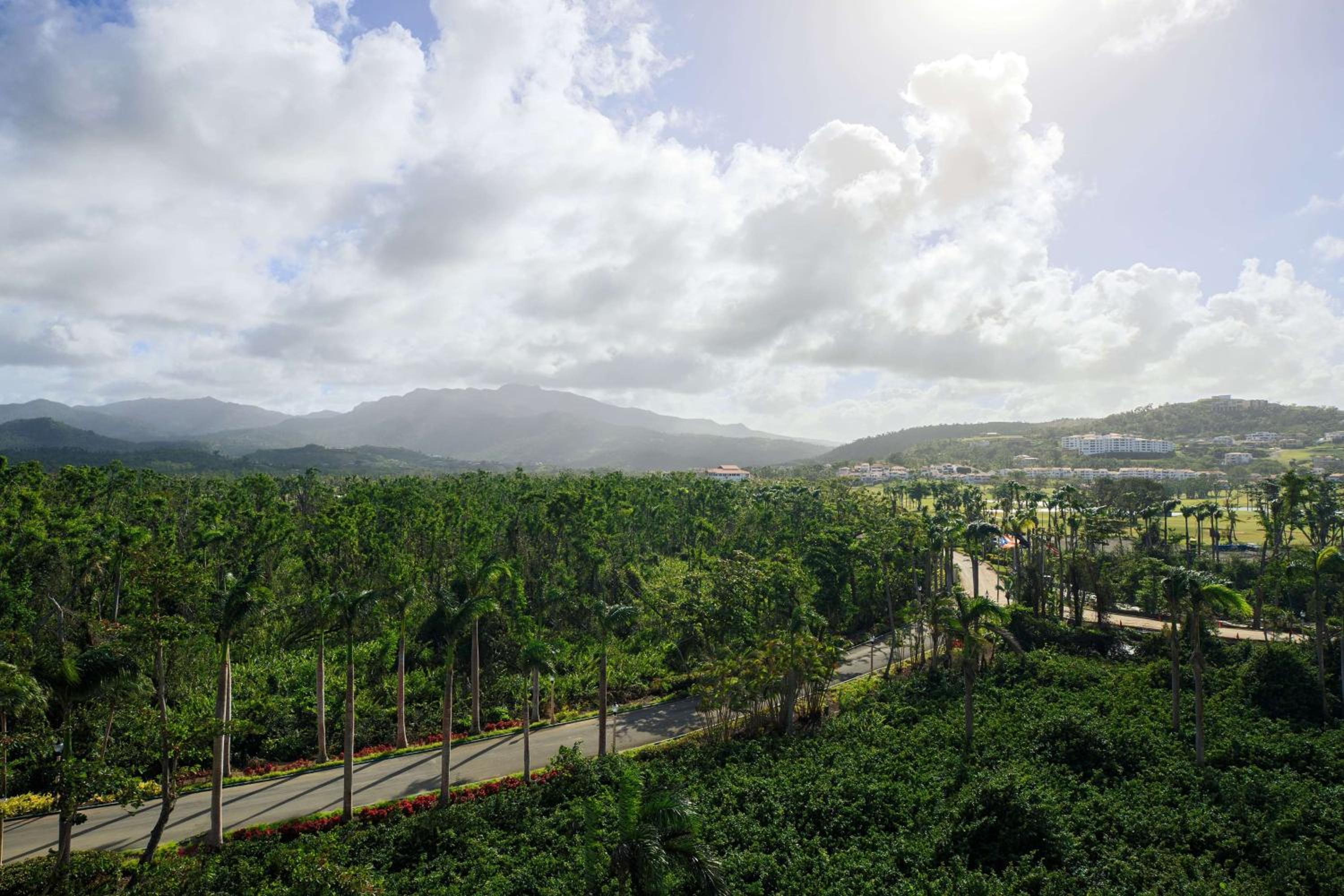 Wyndham Grand Rio Mar Rainforest Beach and Golf Resort - Property Image 122