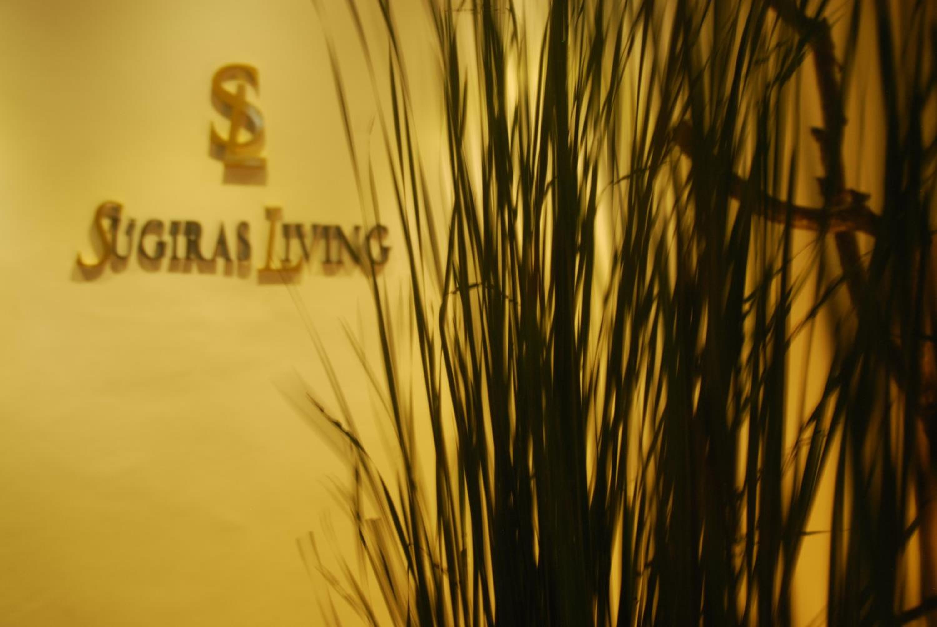 Sugiras Living