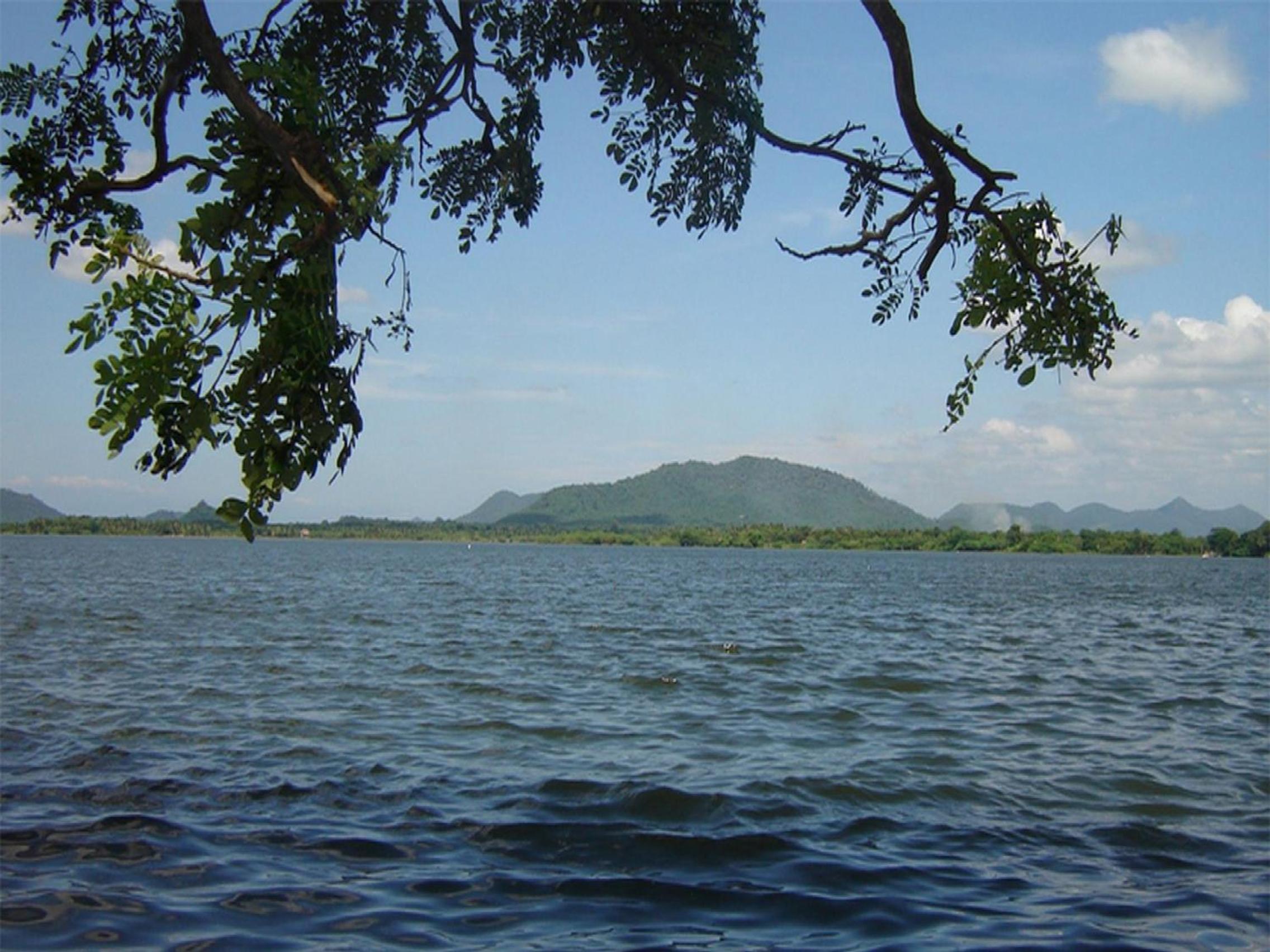 Photo 44