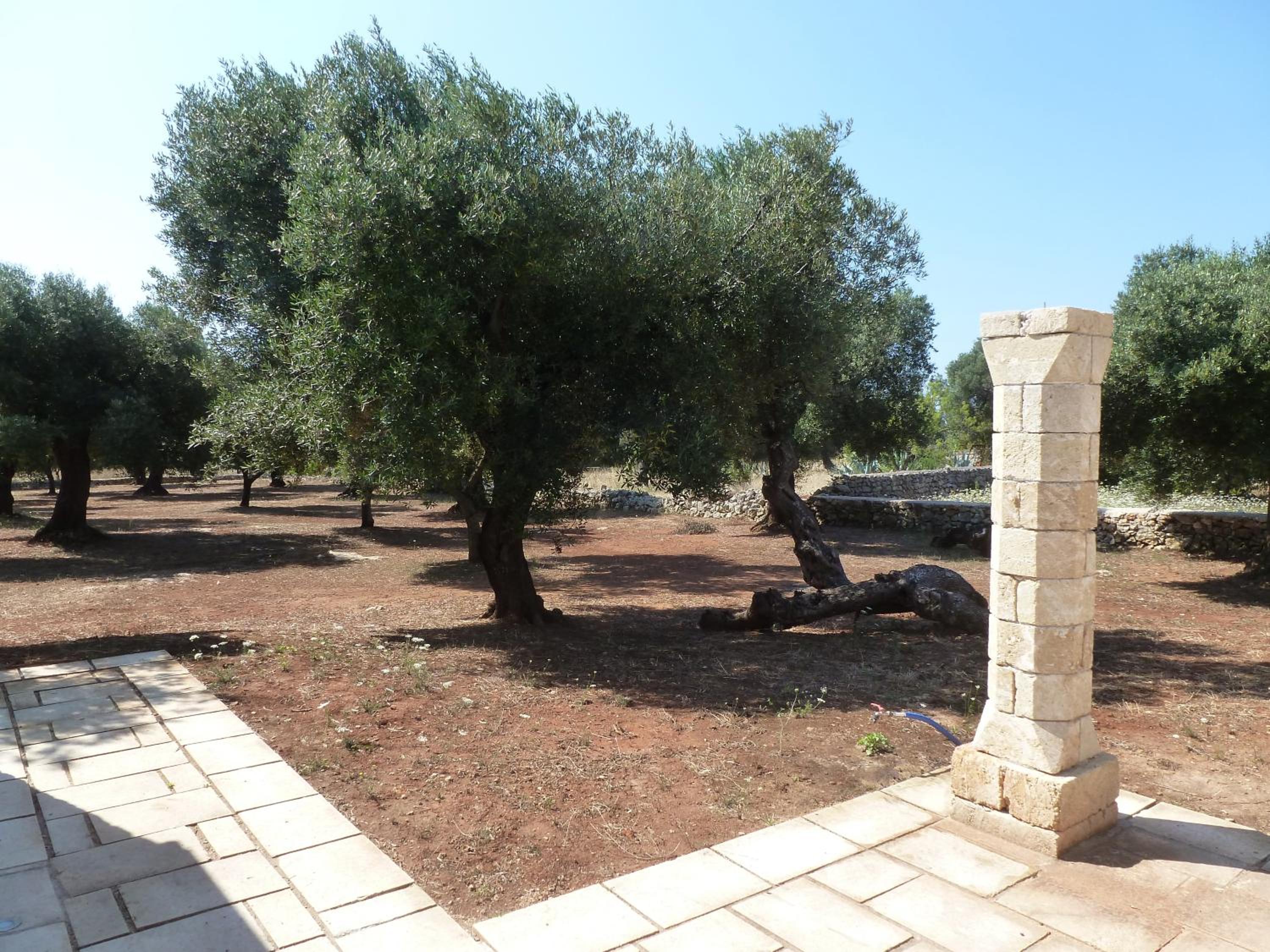 Photo 42