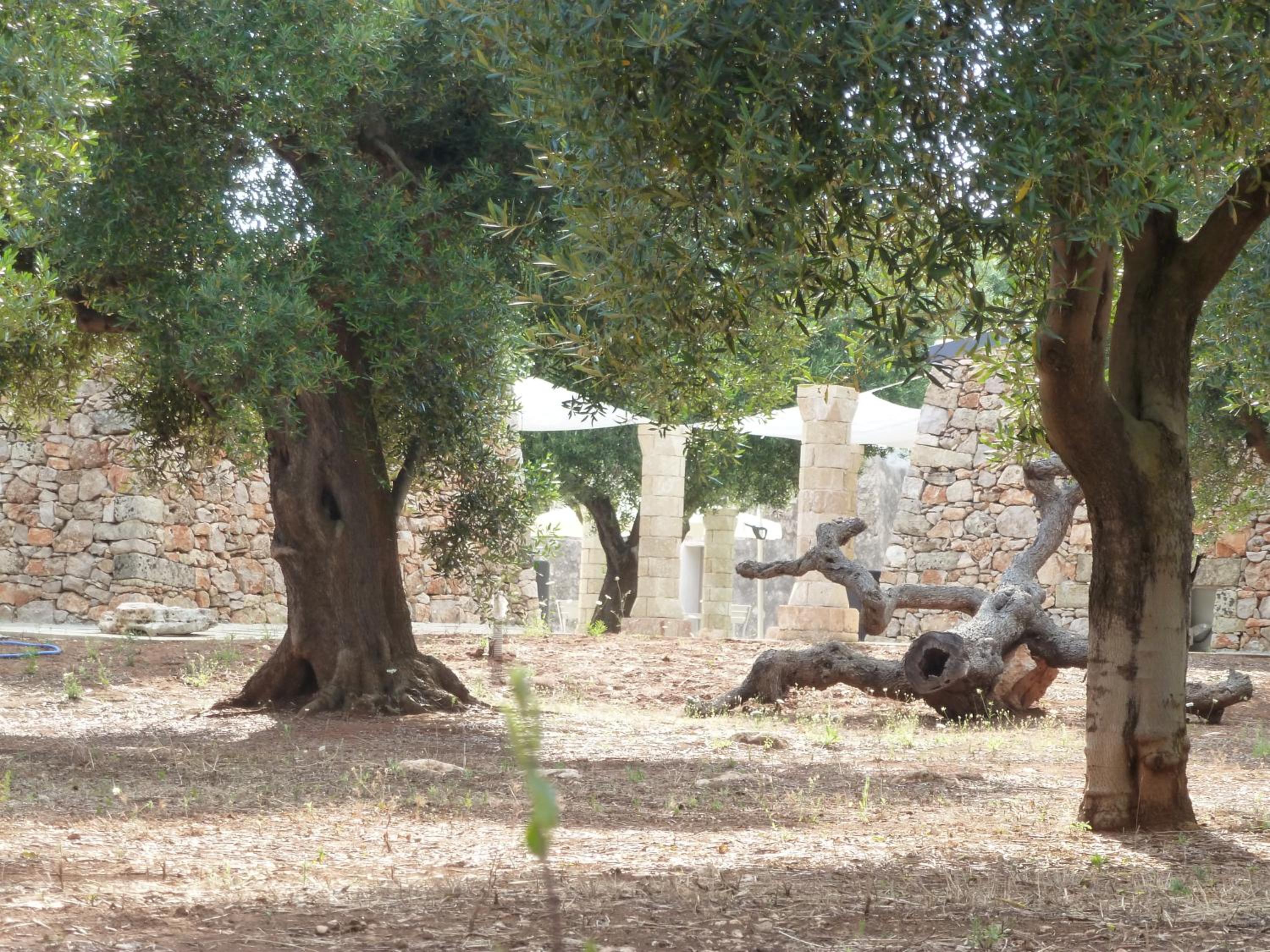 Photo 43