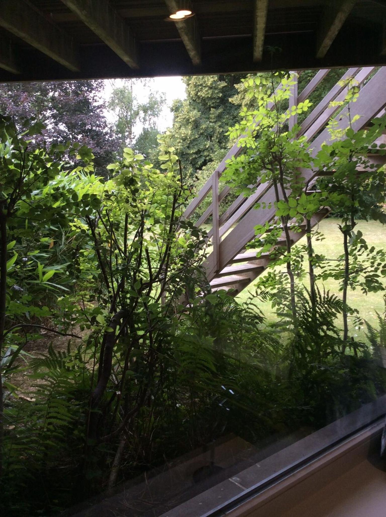 B&B Uccle
