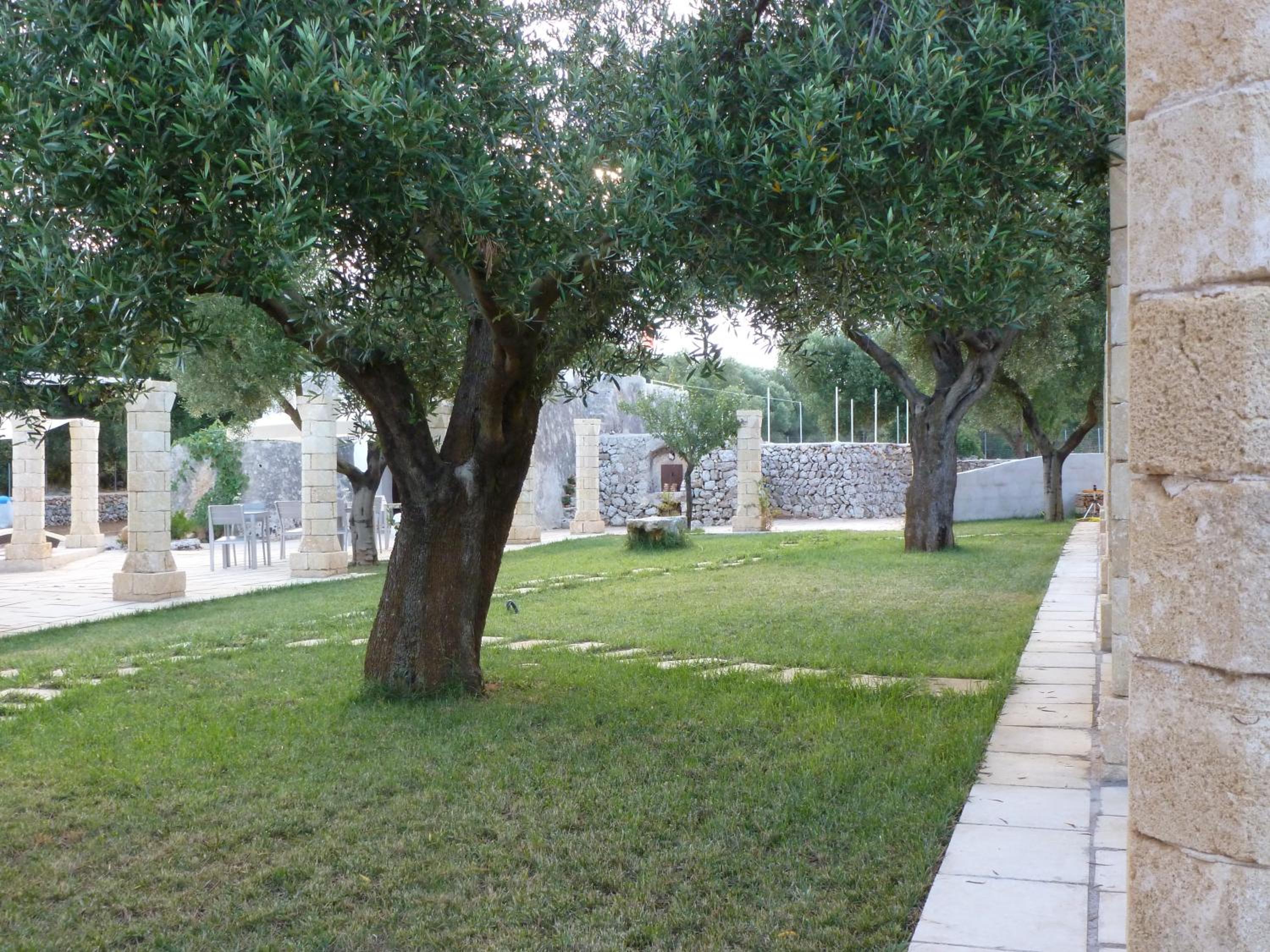 Photo 46