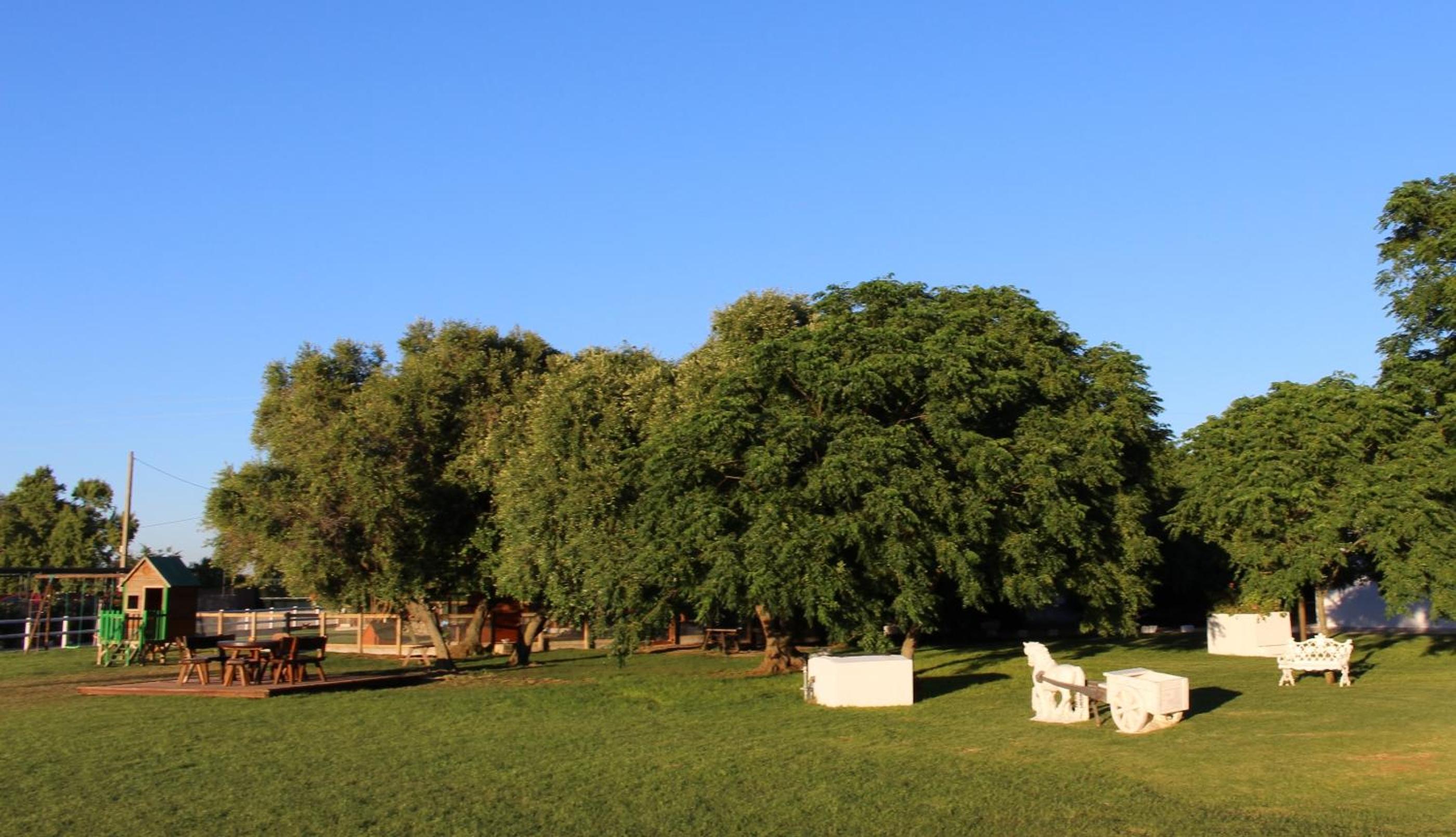Cortijo El Indiviso