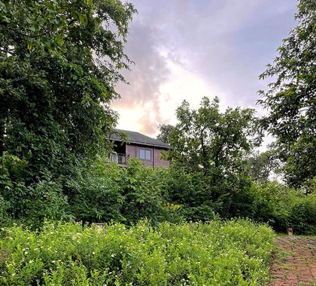 The Postcard Hideaway, Netravali Wildlife Sanctuary, South Goa