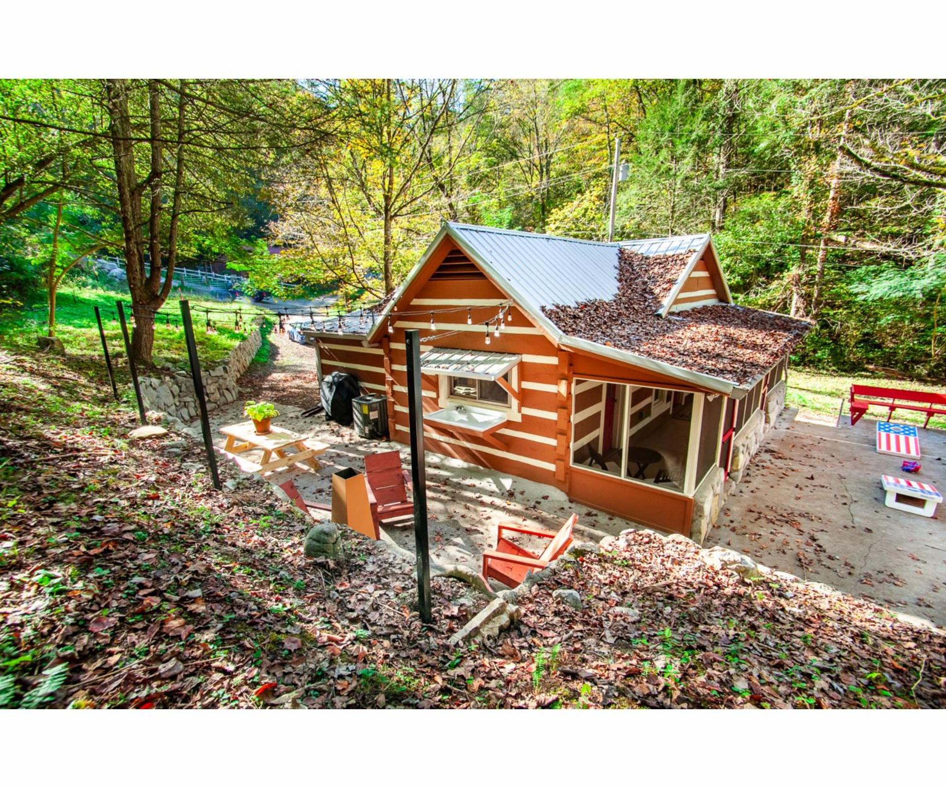 Beary Relaxing Cabin - Rustic with Outdoor Patio view 3