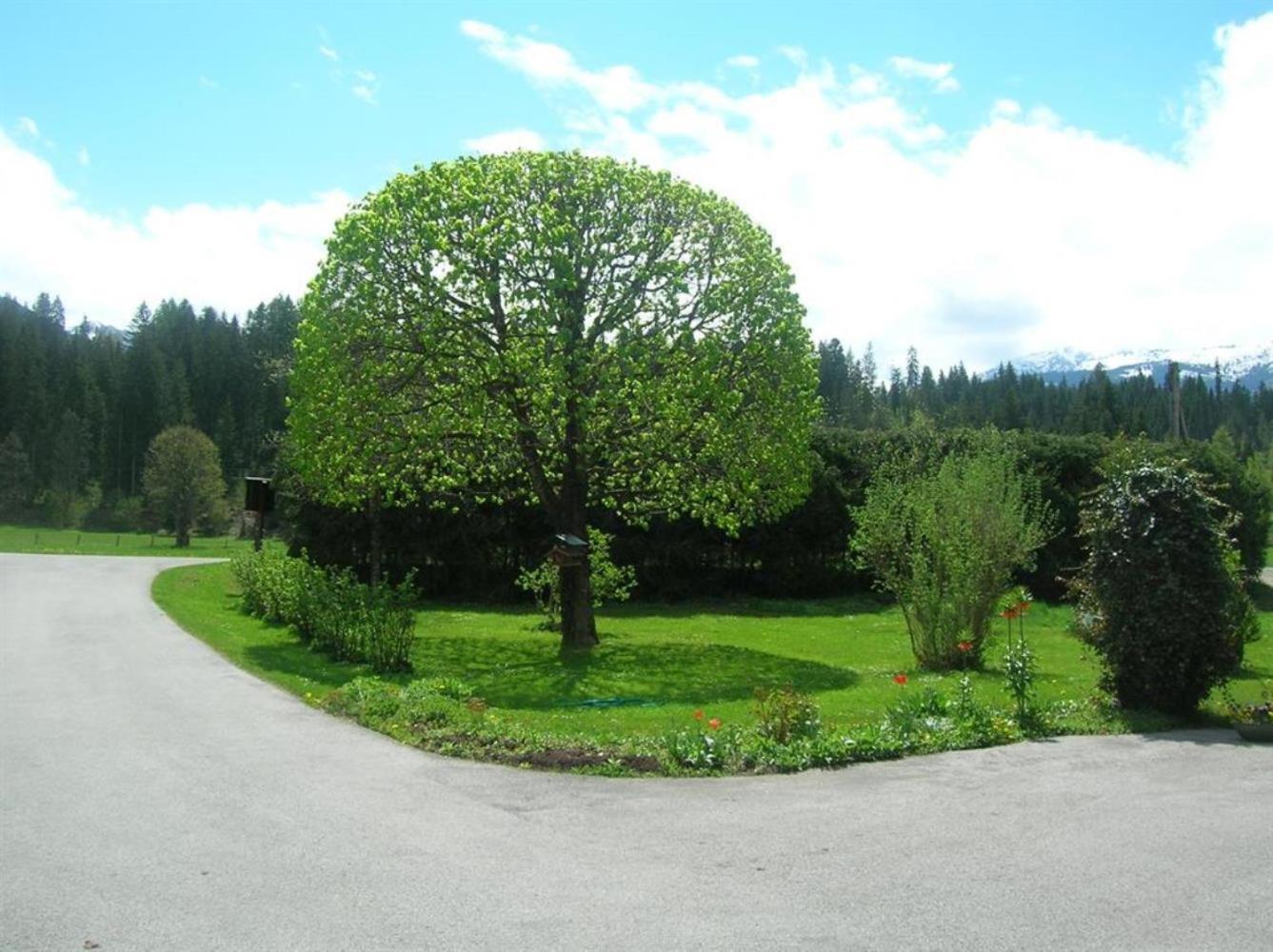 Freihof