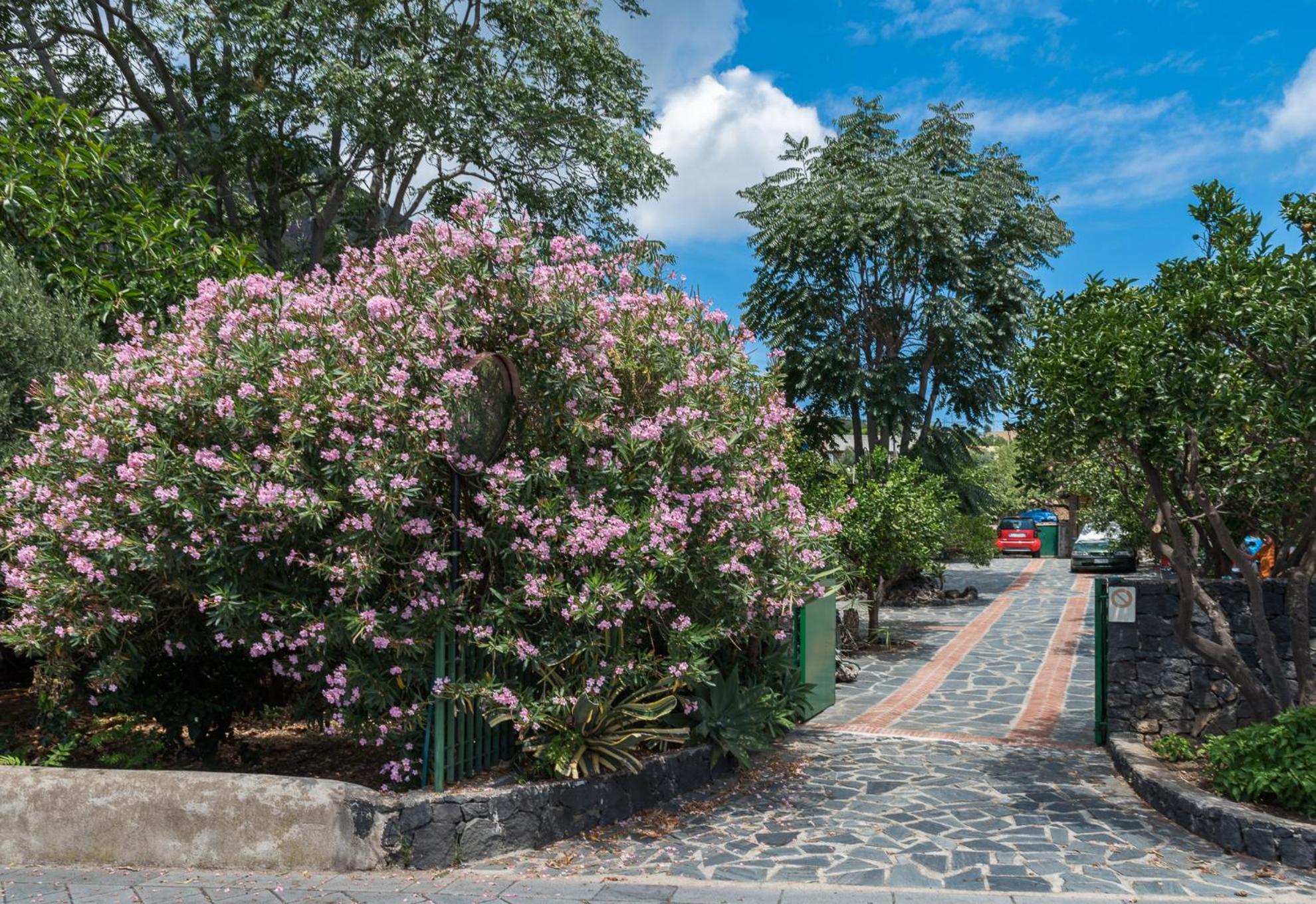Villa Mariella Pittorino - camere in B&B