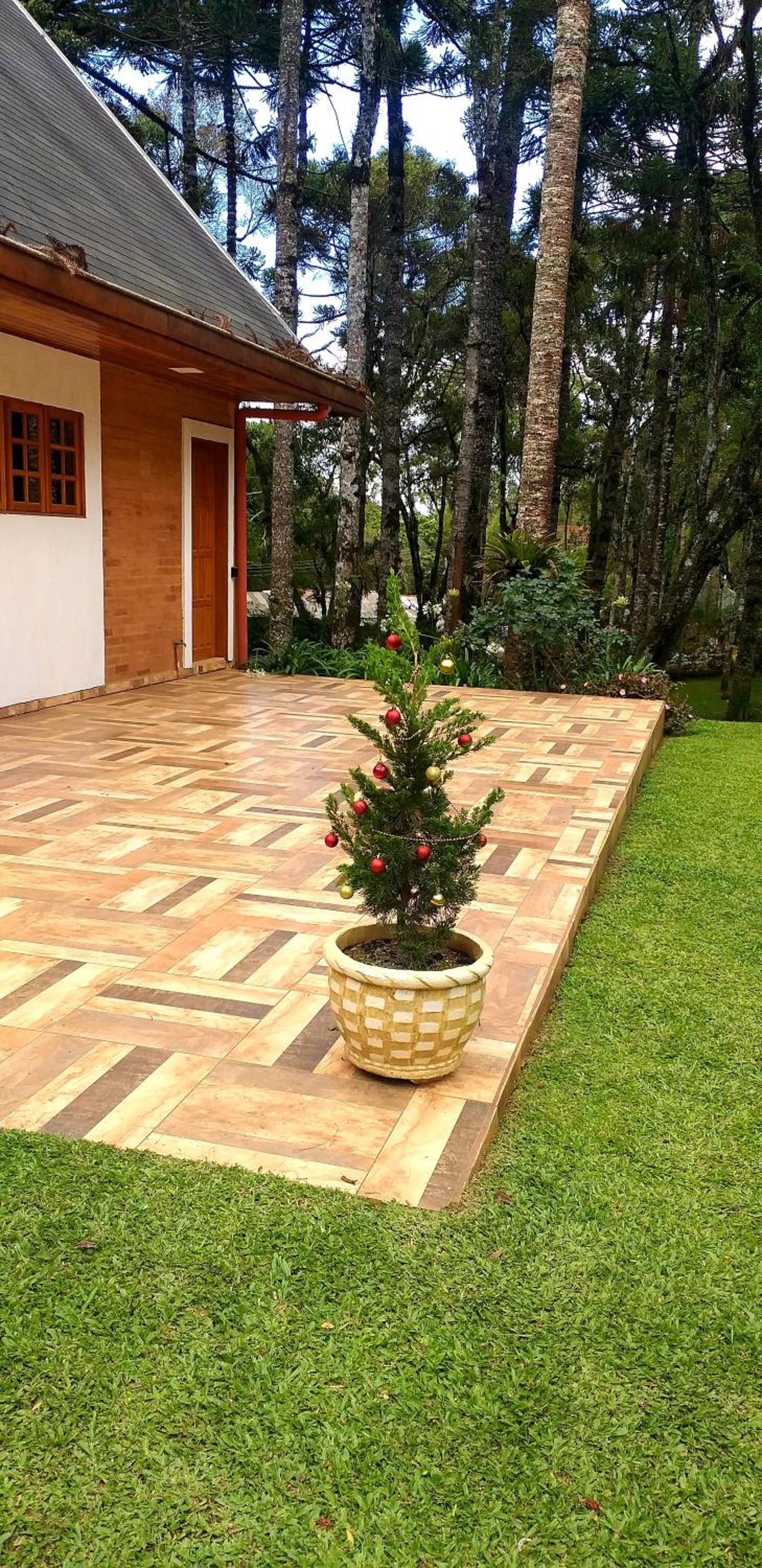 Bosque das Araucárias