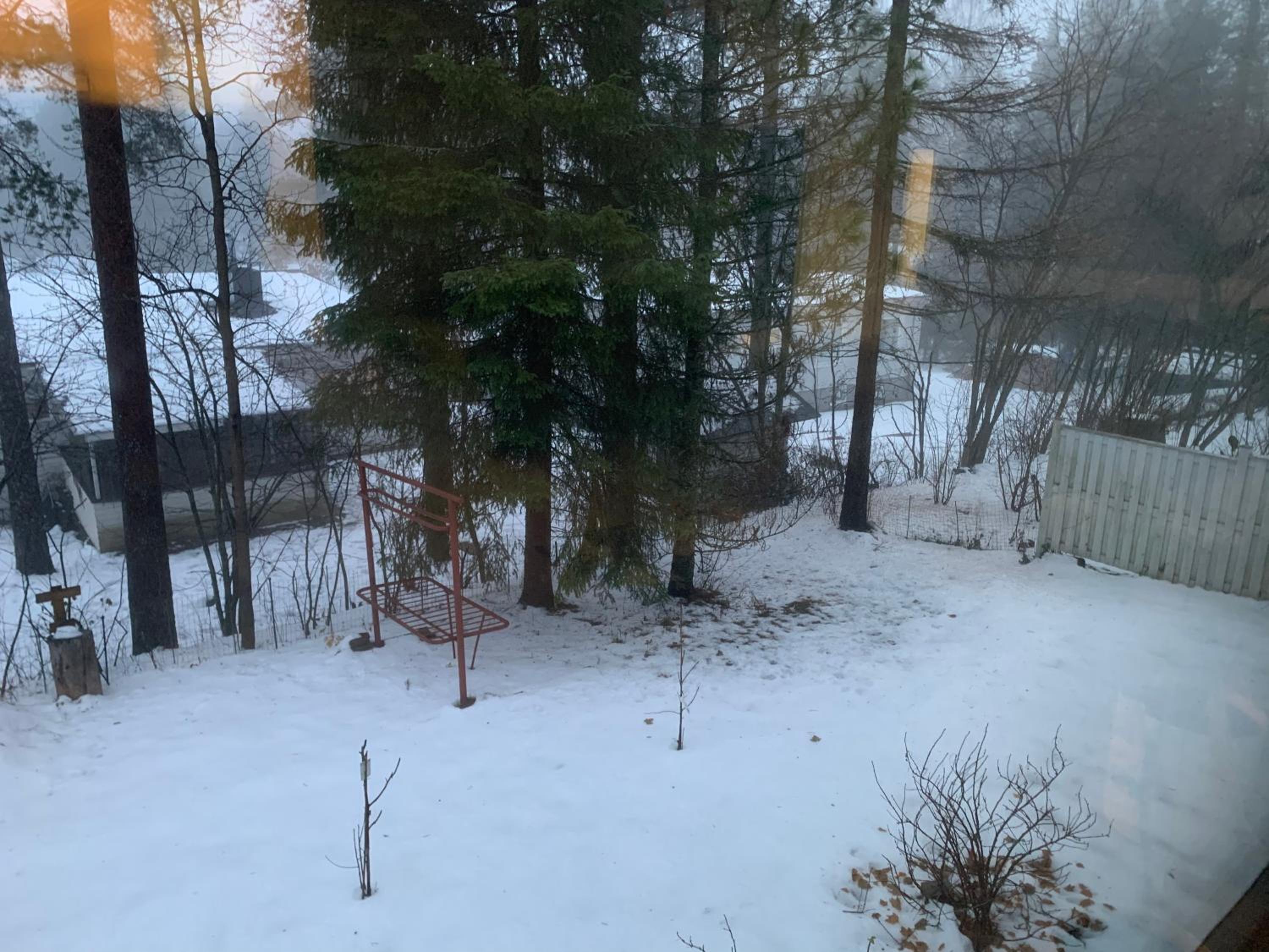Photo 36
