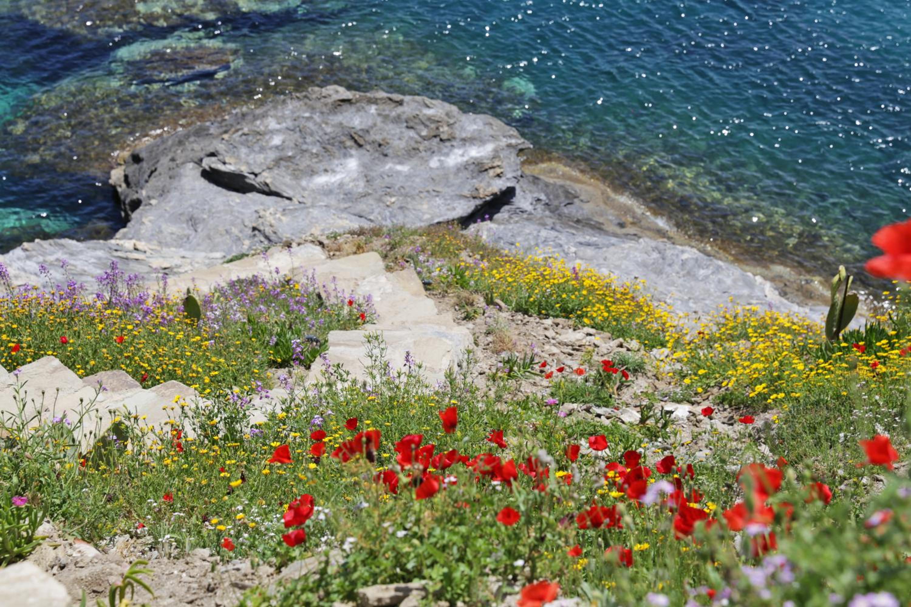 Camara Homes