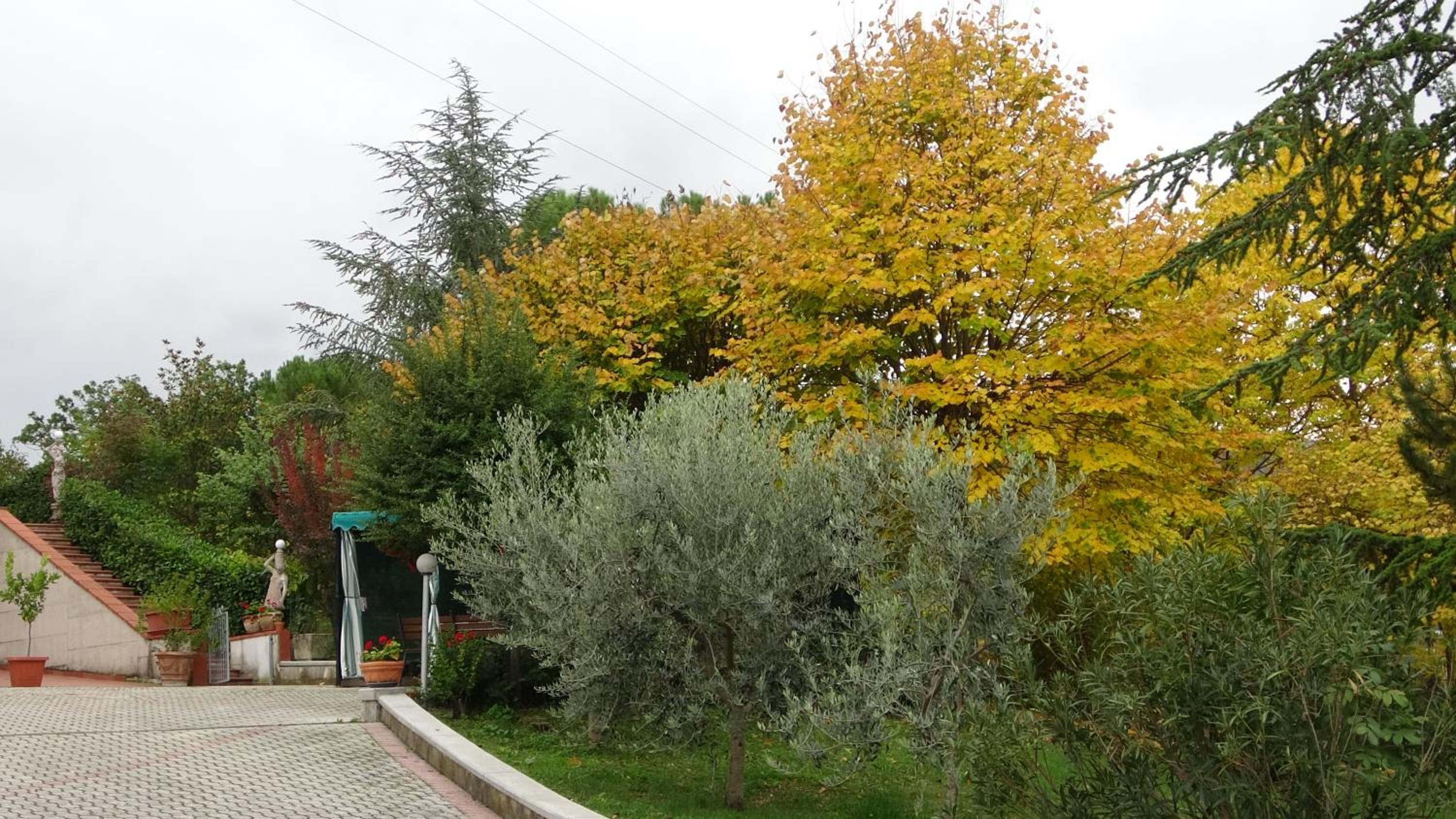 B&B La Poiana