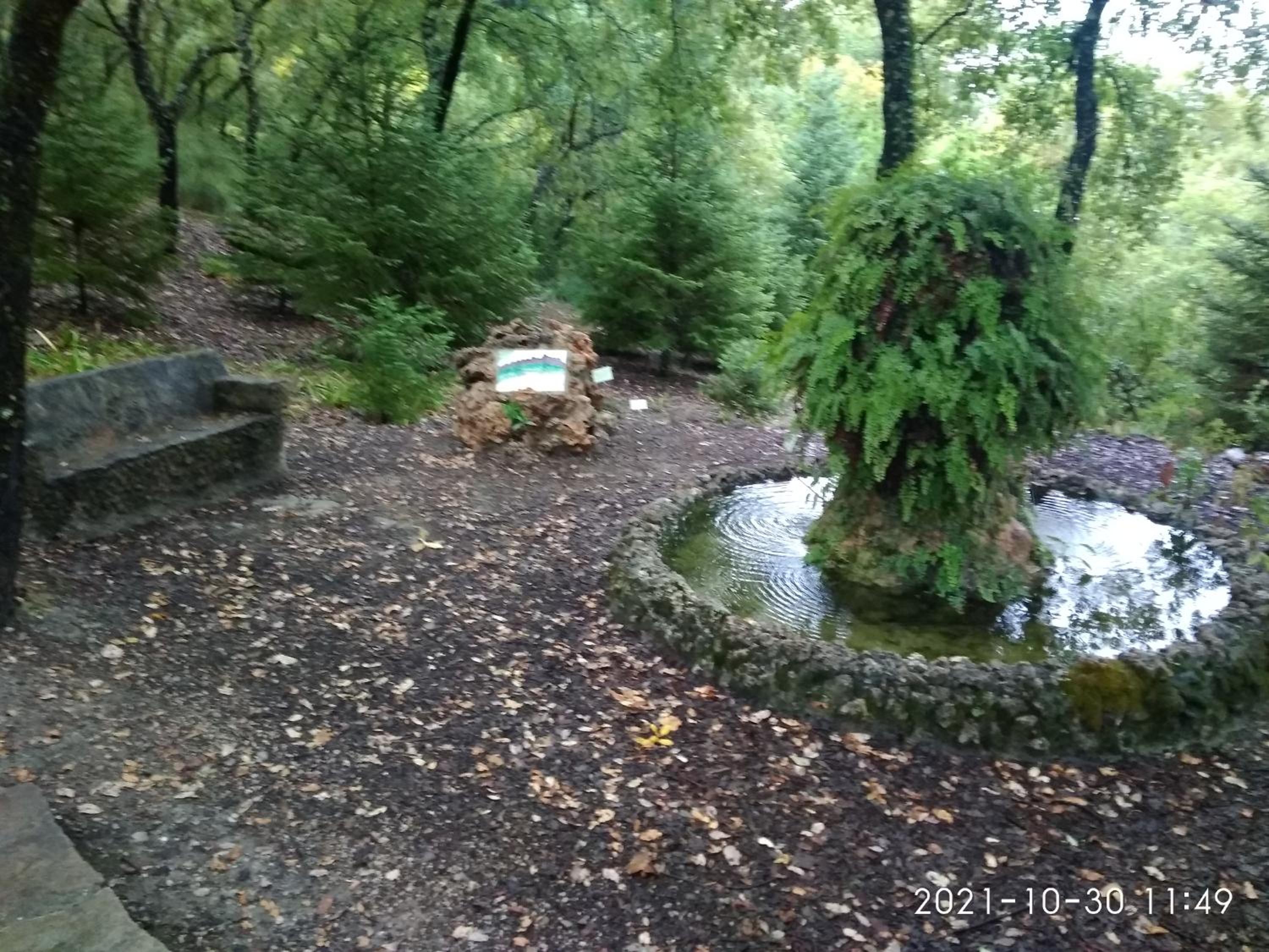 Photo 21
