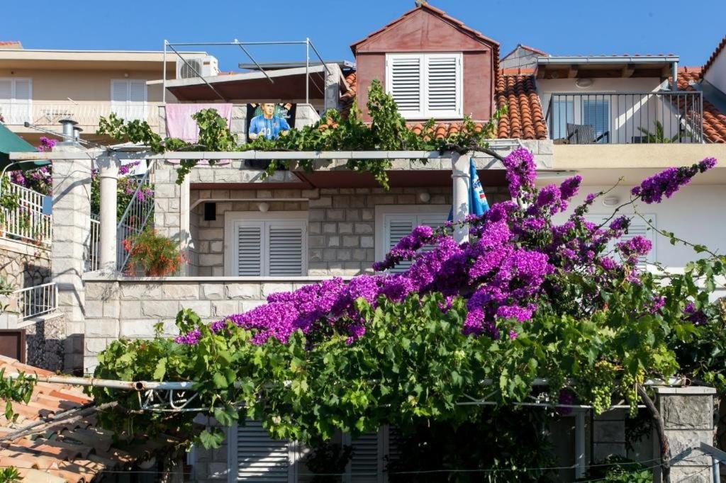 Guest House Misita — Dubrovnik