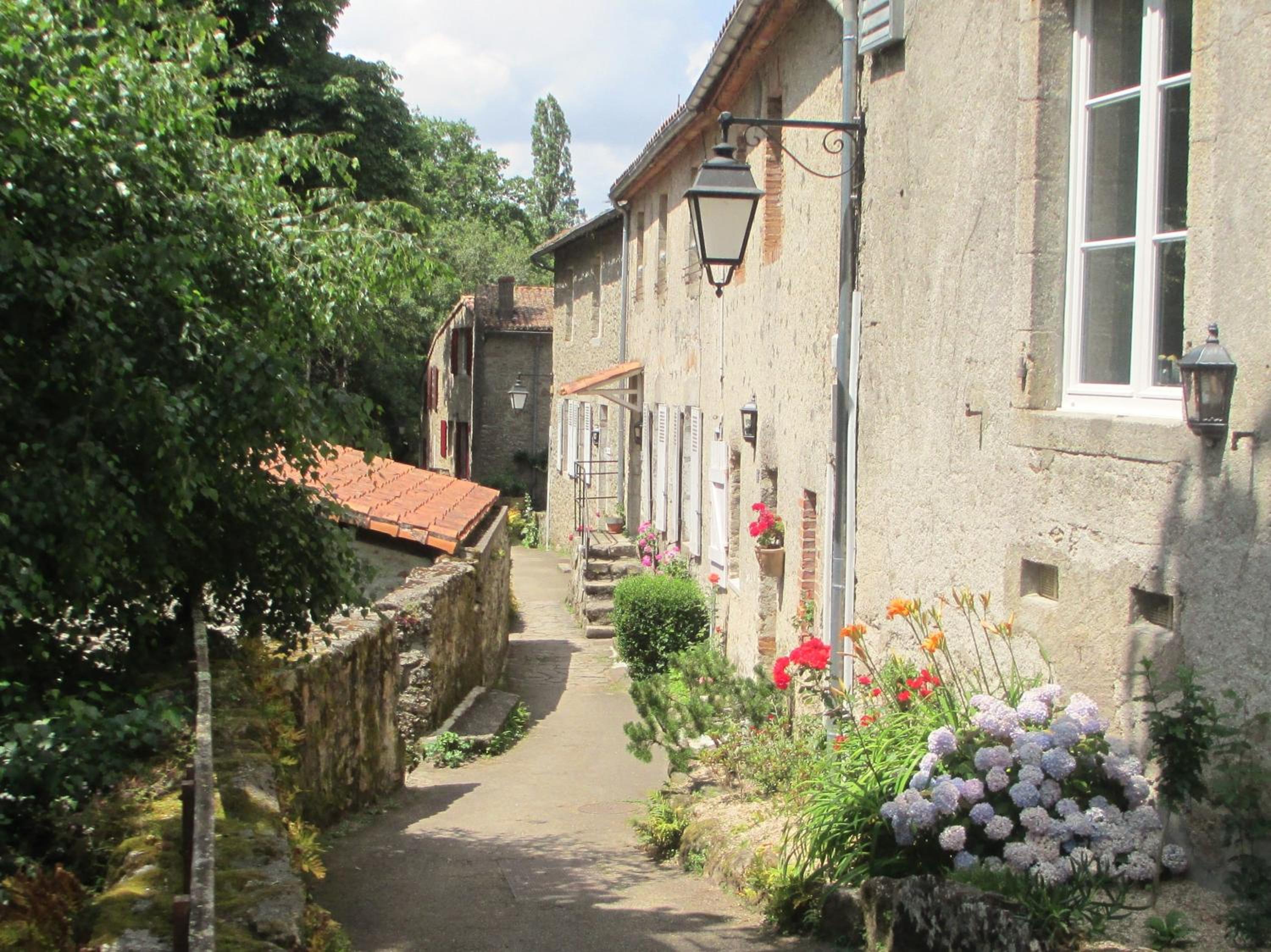 Photo 15