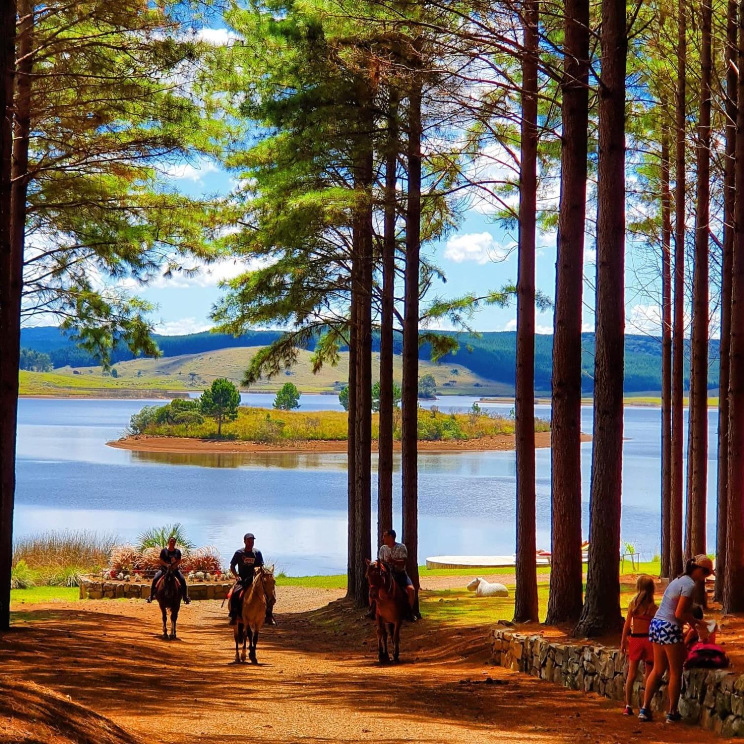 Tedesco Eco Park