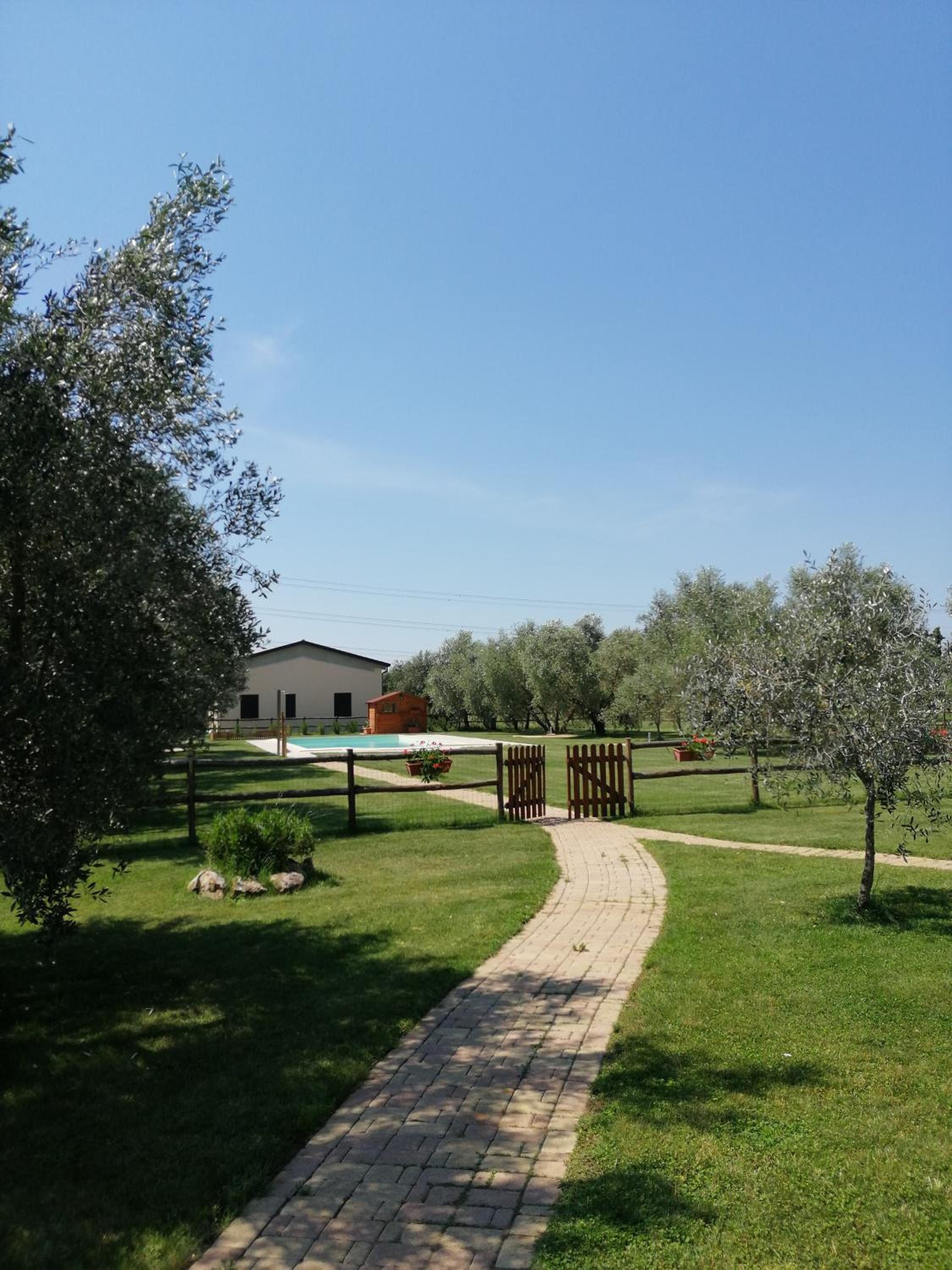 Photo 41