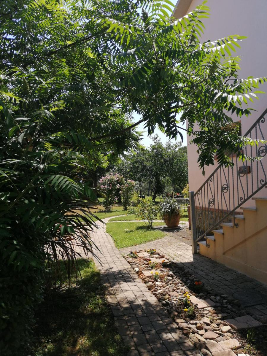 Photo 48