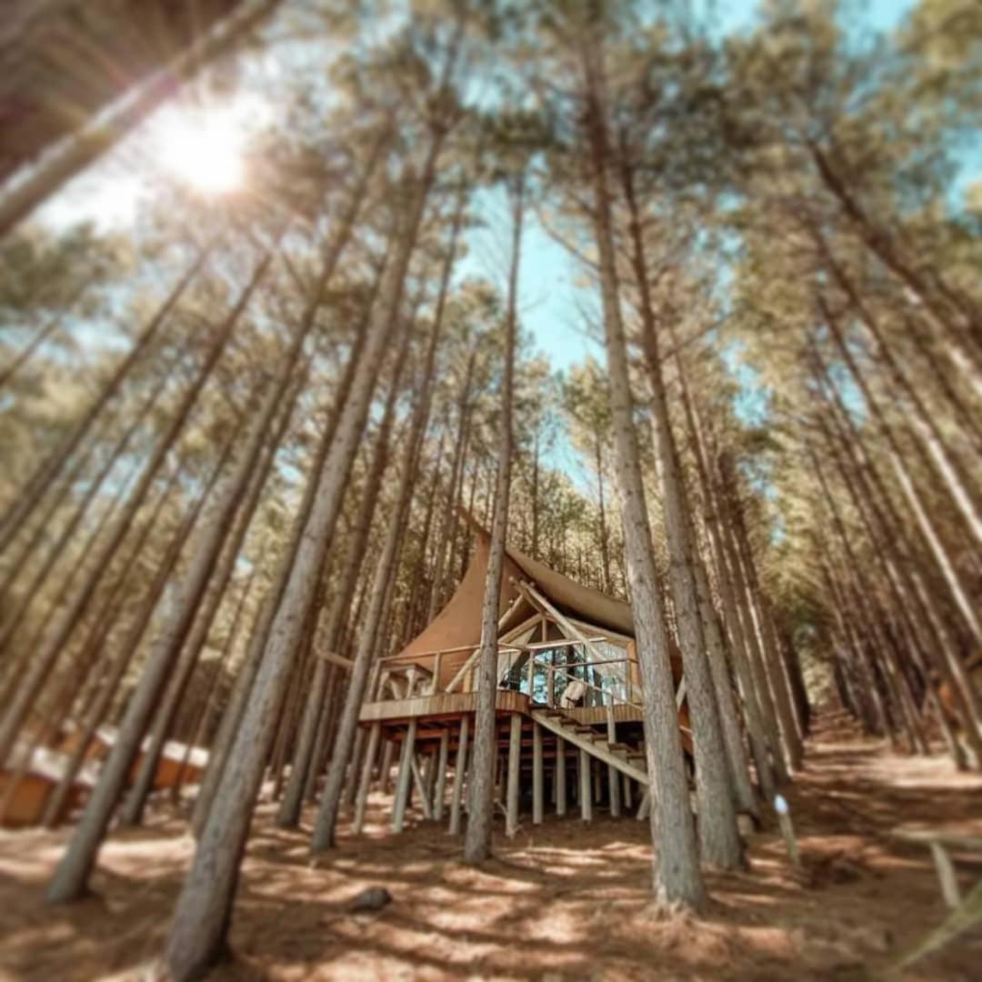 Tedesco Eco Park